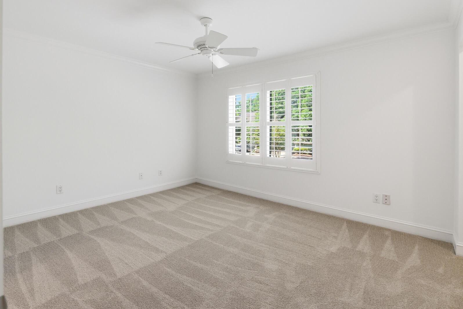 321 Lapwing Lane