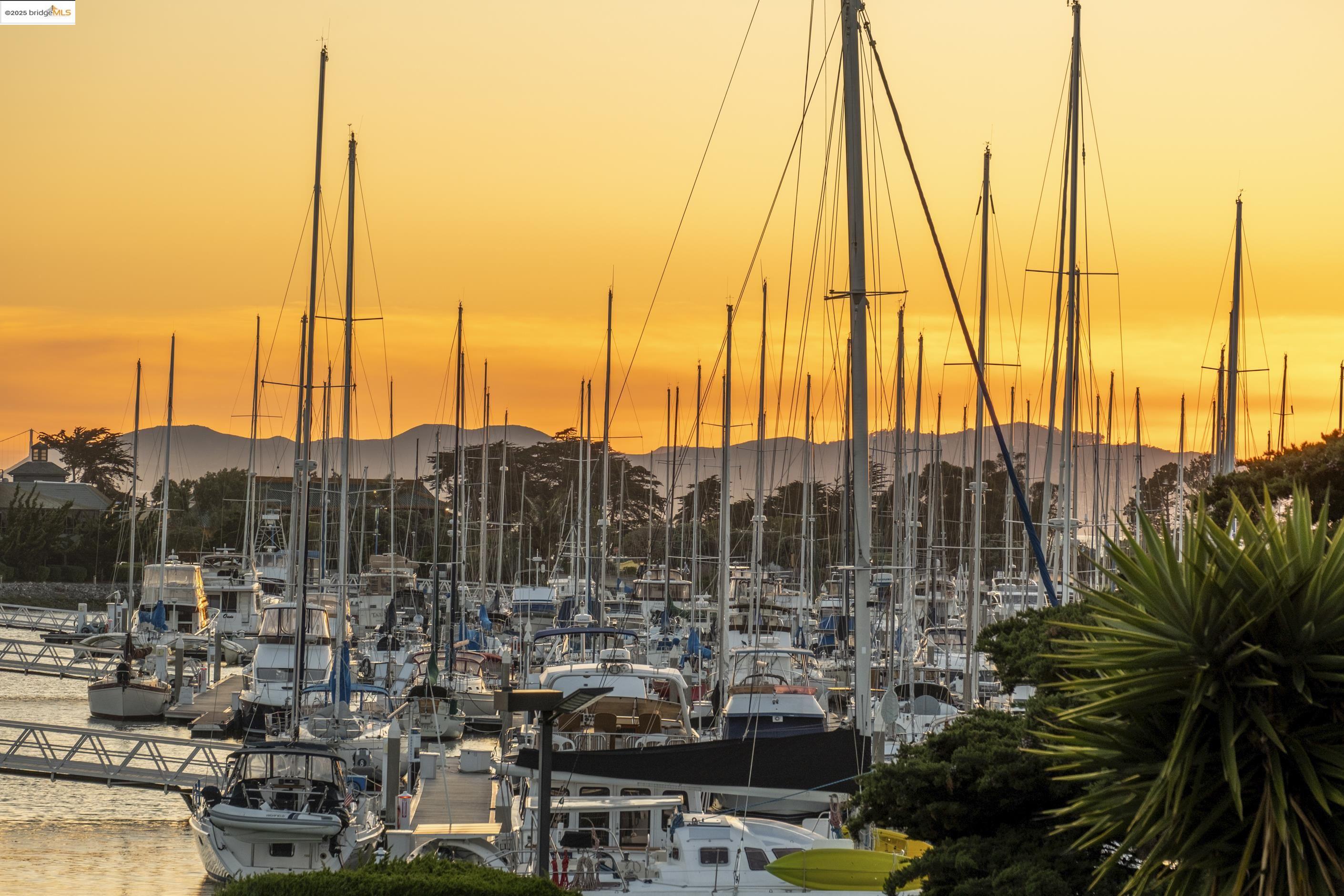 1 Captain Drive # D258