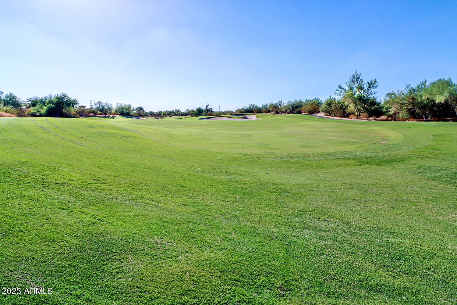 20802 N GRAYHAWK Drive, 1164