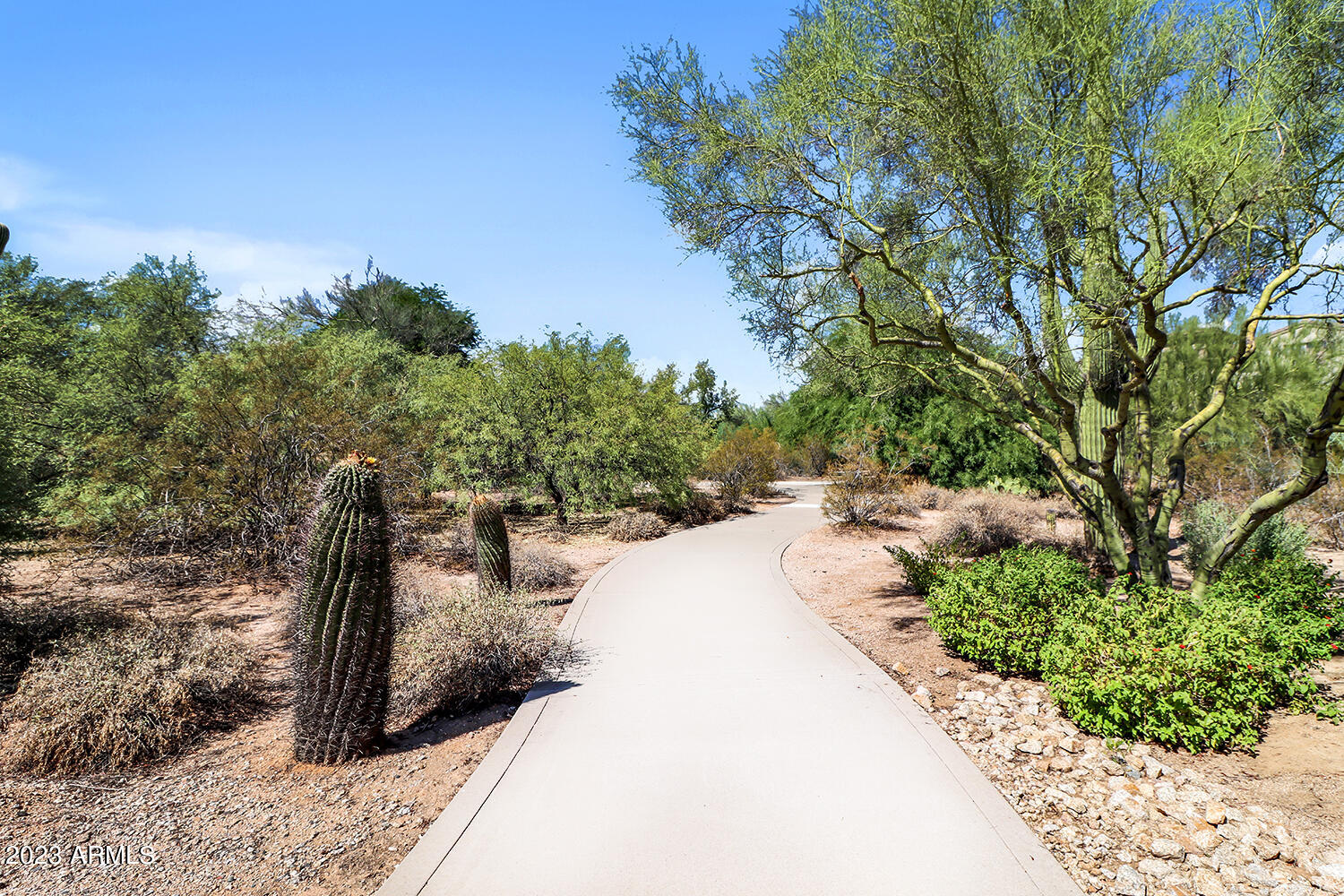 20802 N GRAYHAWK Drive, 1164