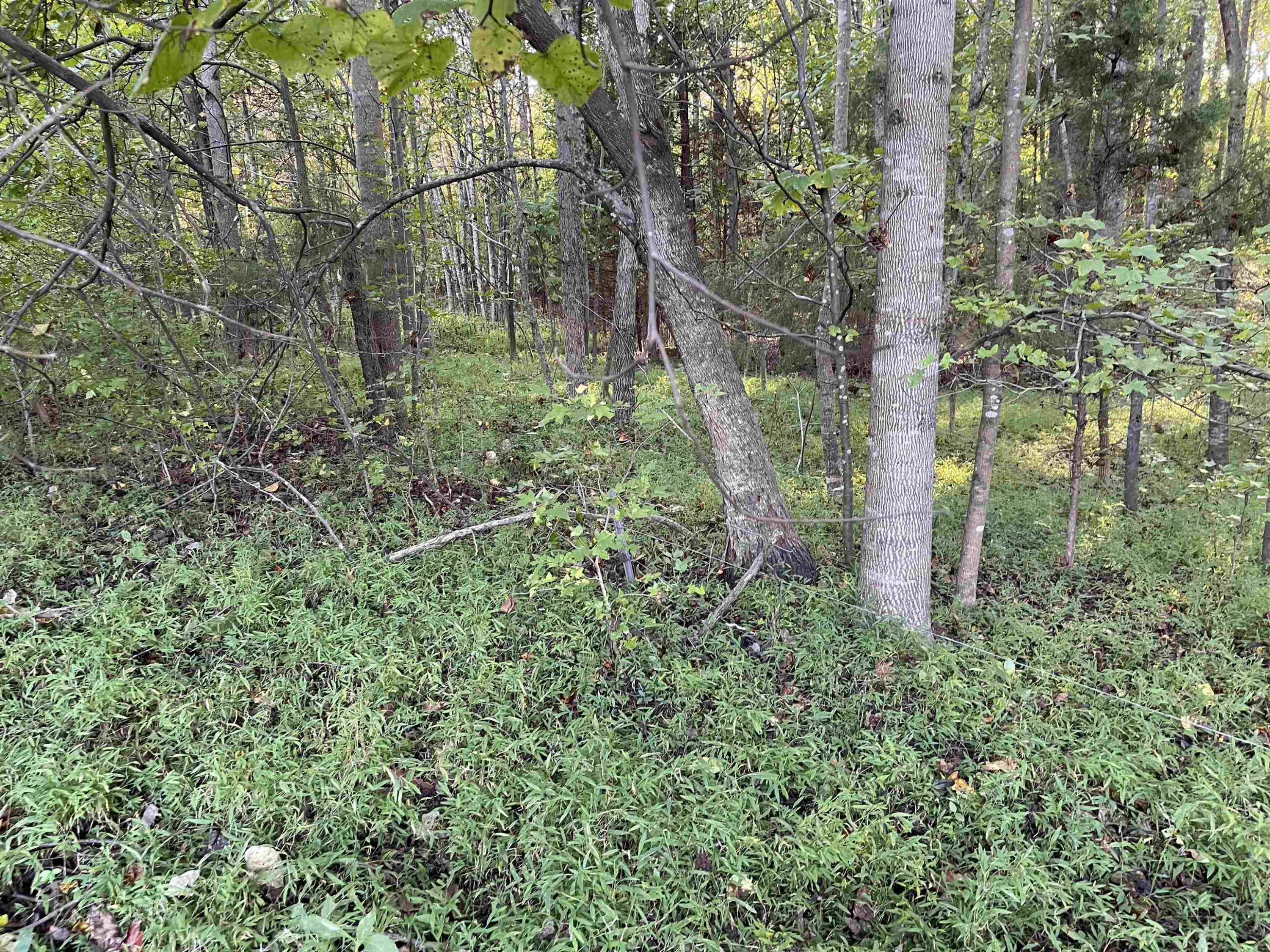 5611 Wingate Creek Drive