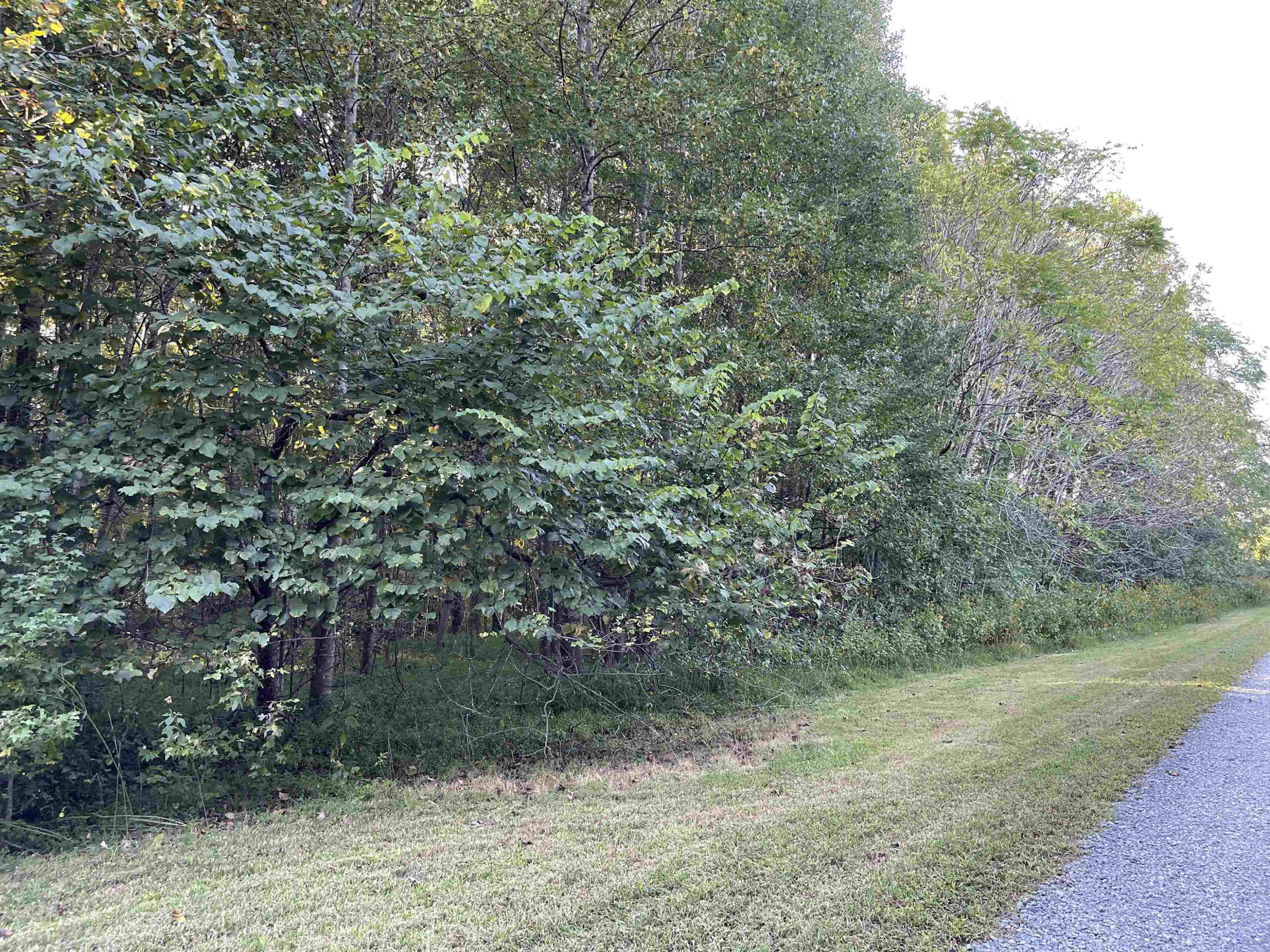 5611 Wingate Creek Drive