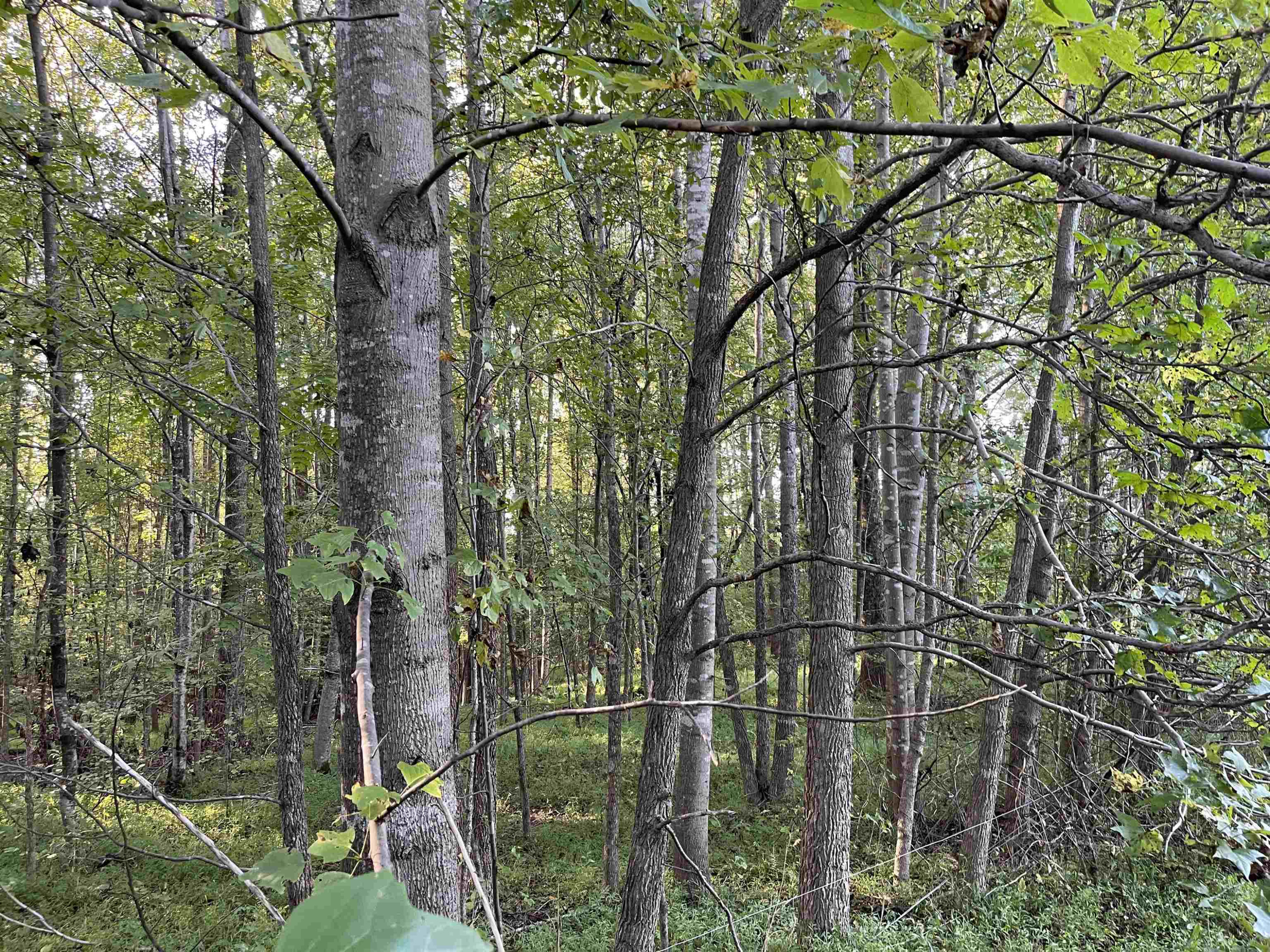 5611 Wingate Creek Drive