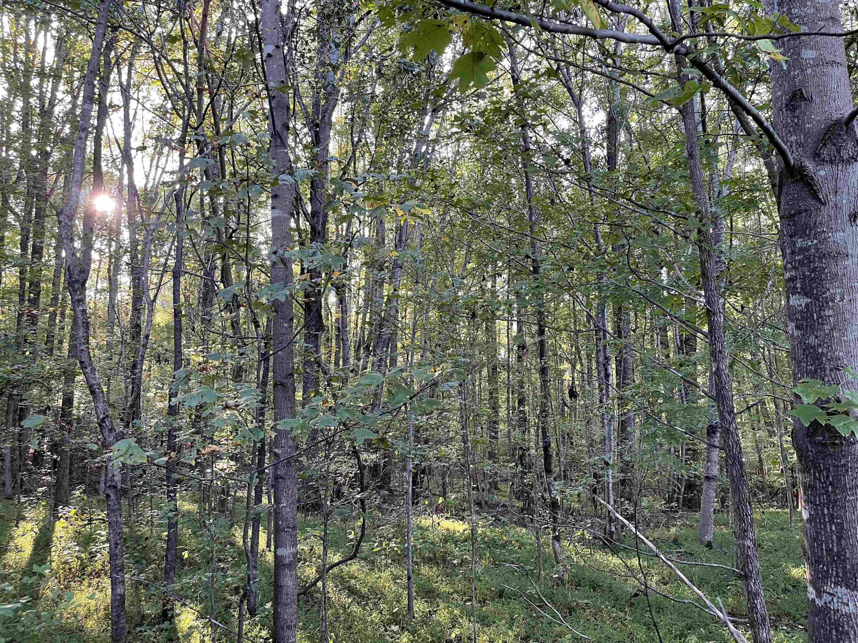 5611 Wingate Creek Drive