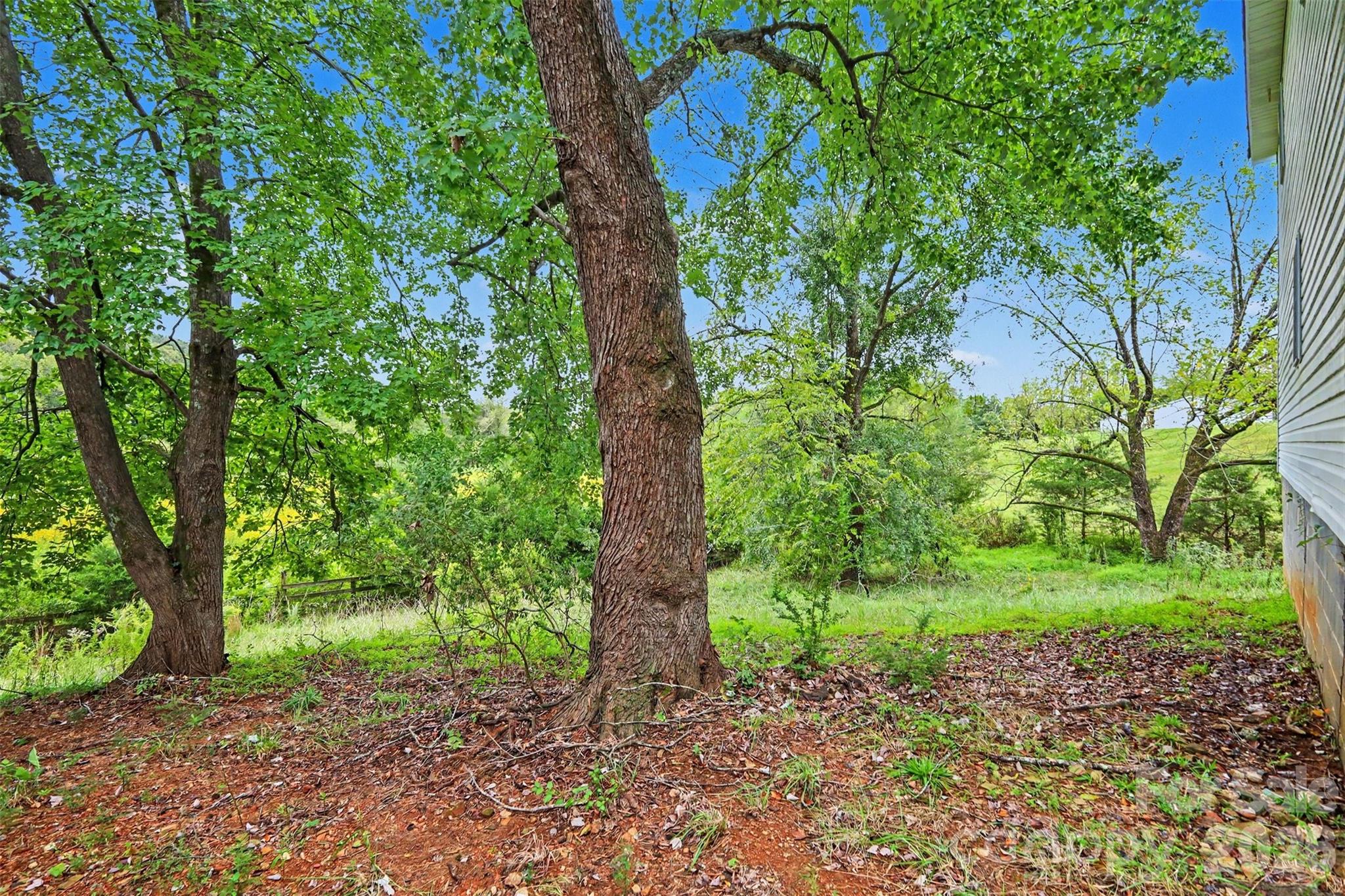 5248 Winding Lane