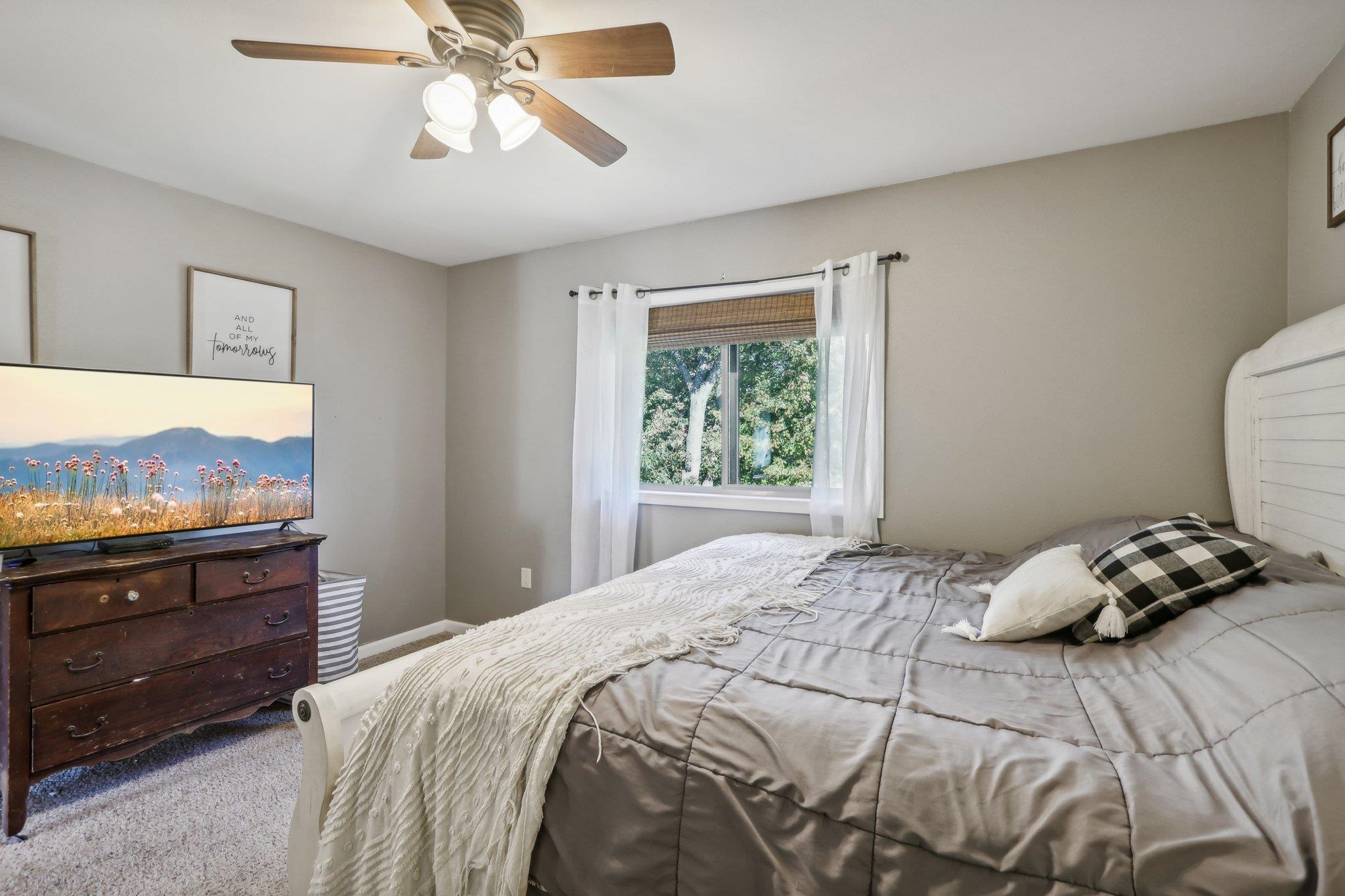 36 Nettie Drive