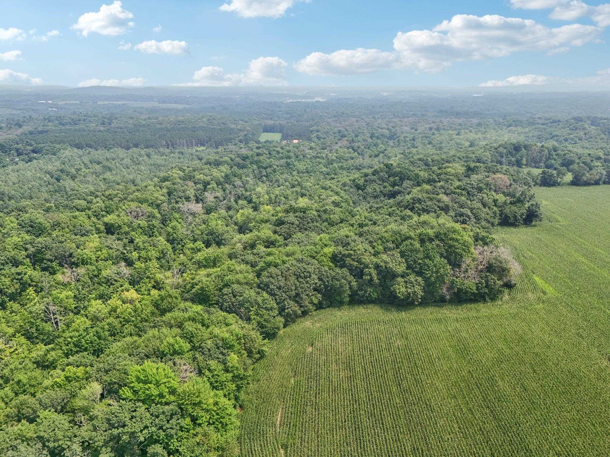 25.85 Ac Birchwood Road