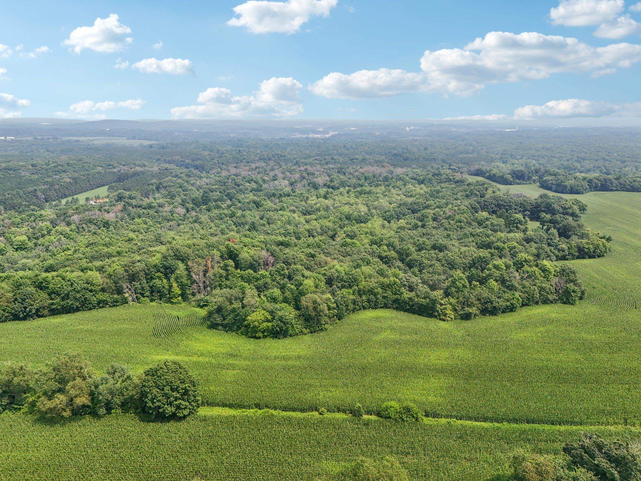 25.85 Ac Birchwood Road