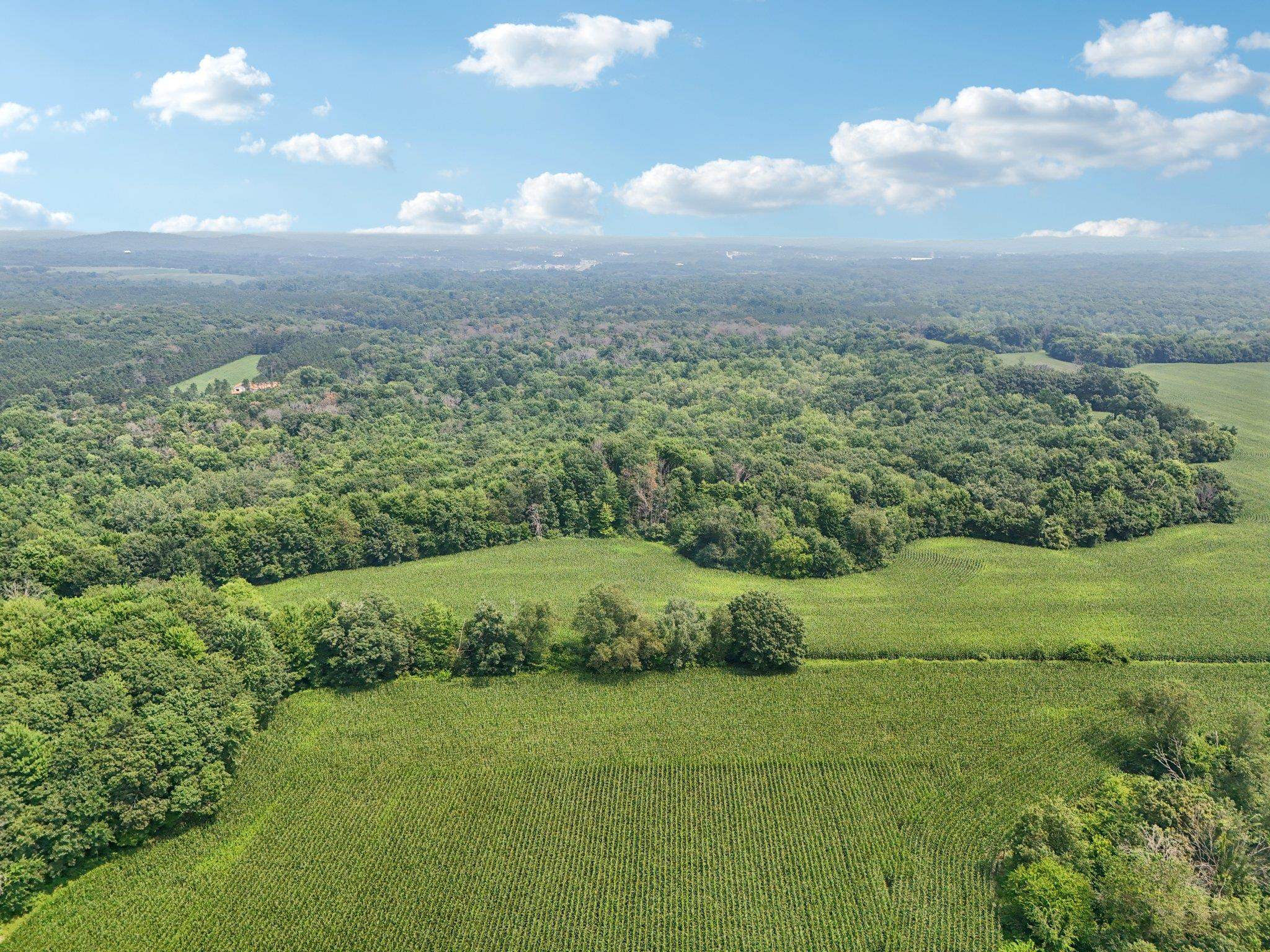 25.85 Ac Birchwood Road