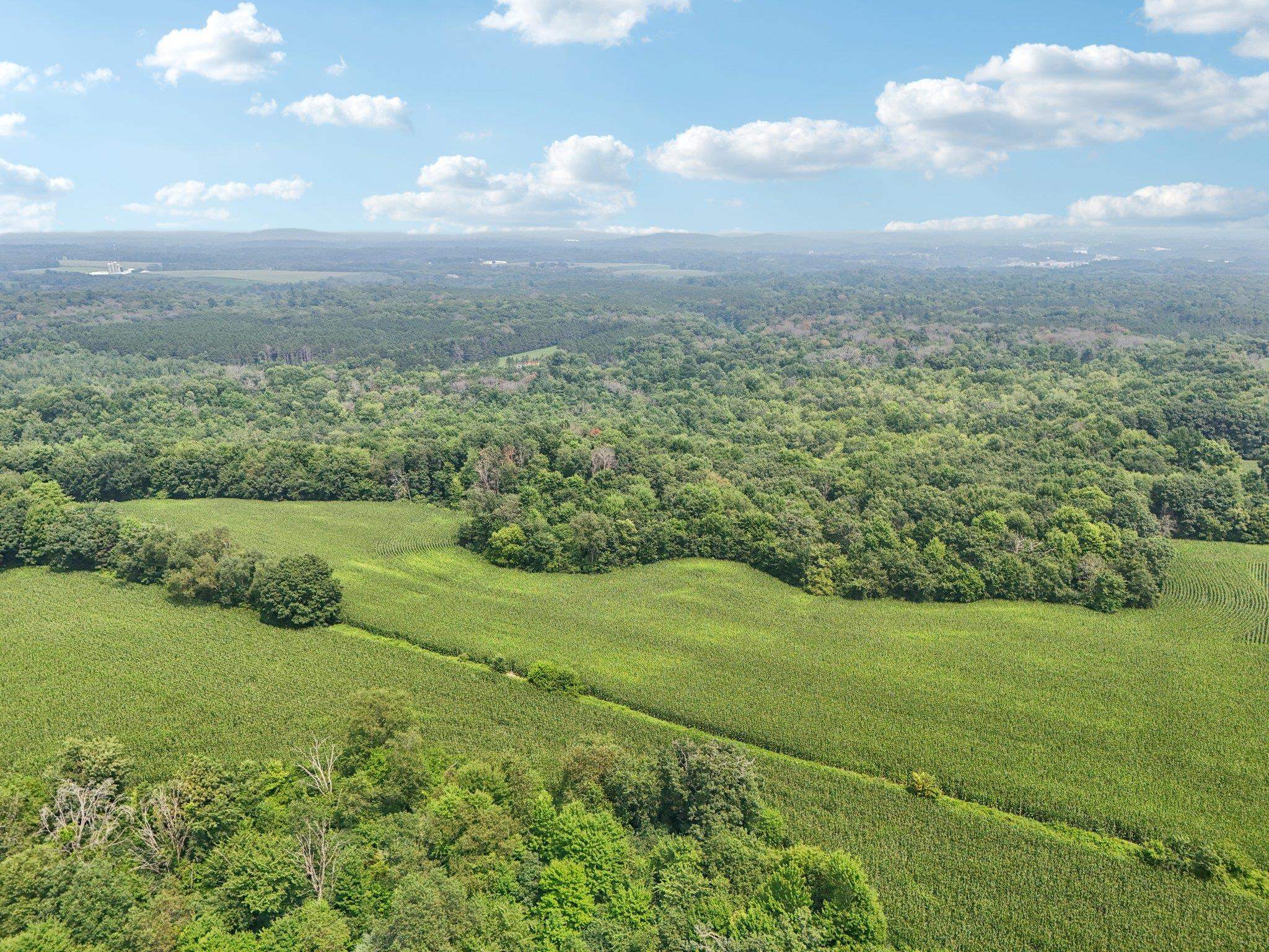 25.85 Ac Birchwood Road