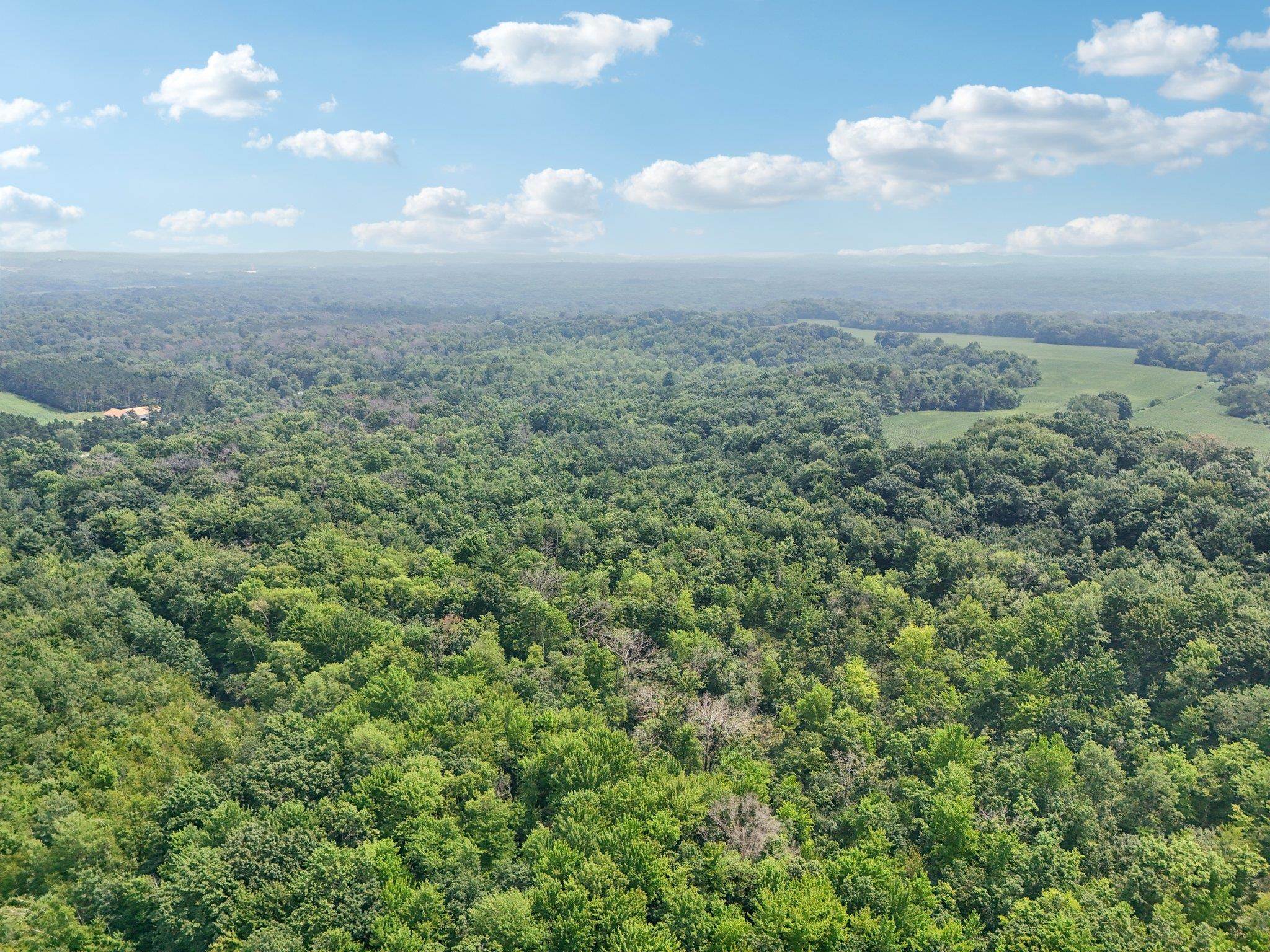 25.85 Ac Birchwood Road