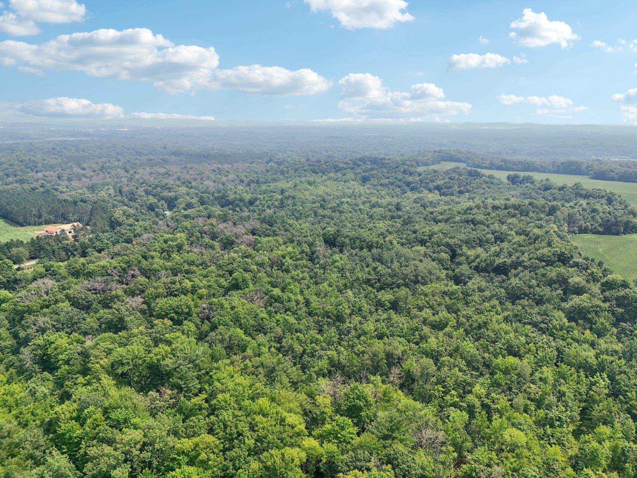 25.85 Ac Birchwood Road