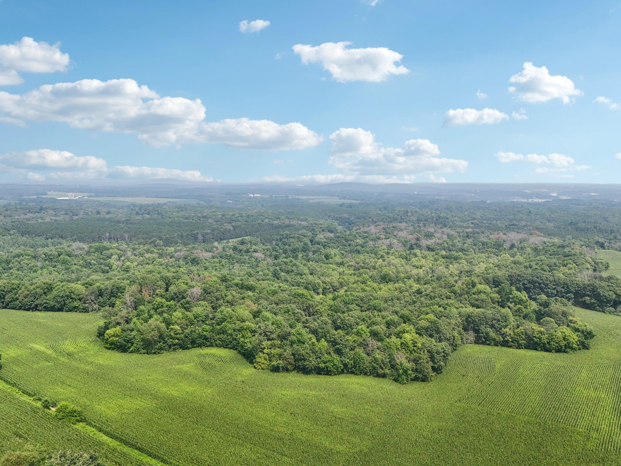 25.85 Ac Birchwood Road