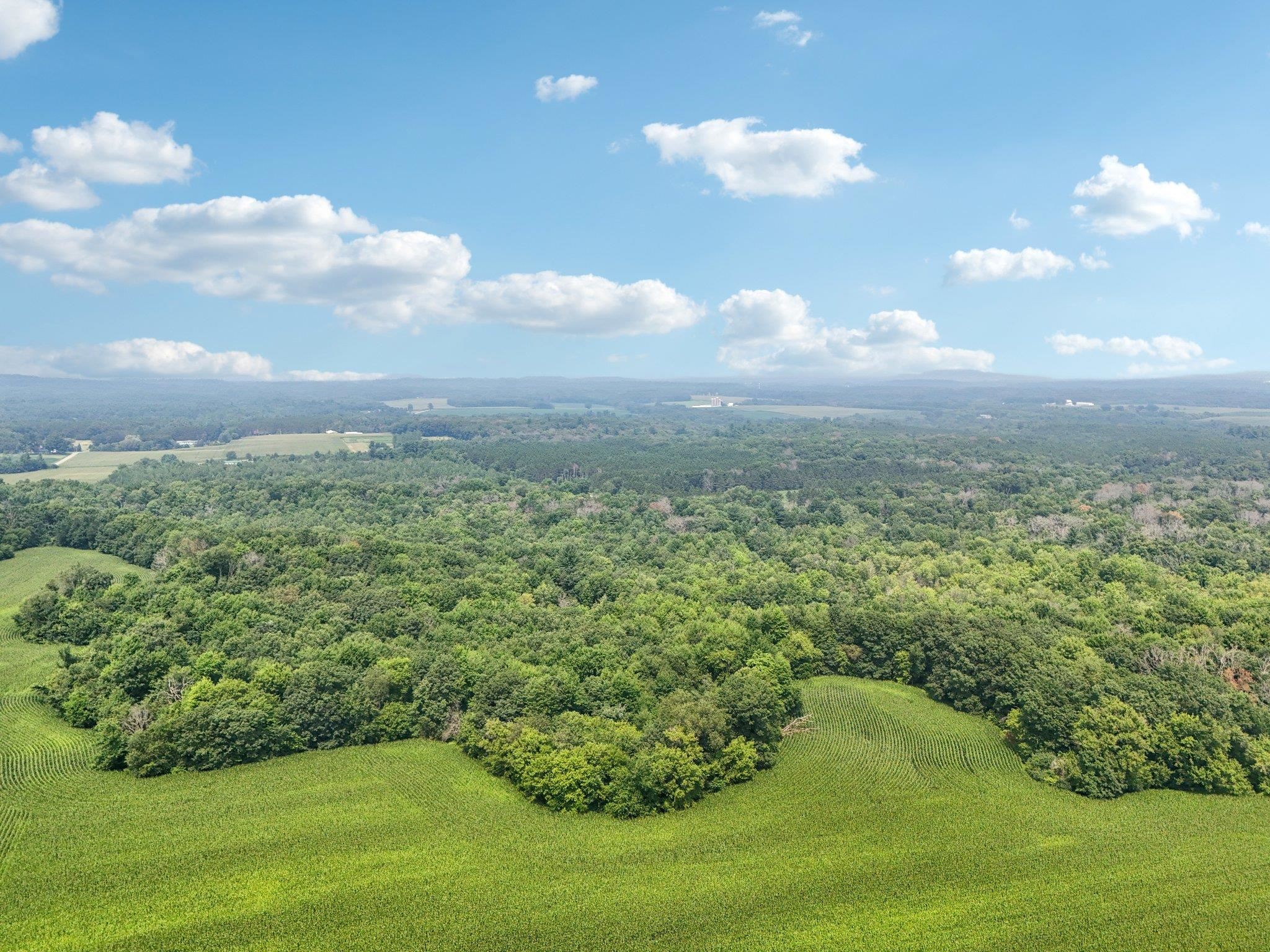 25.85 Ac Birchwood Road