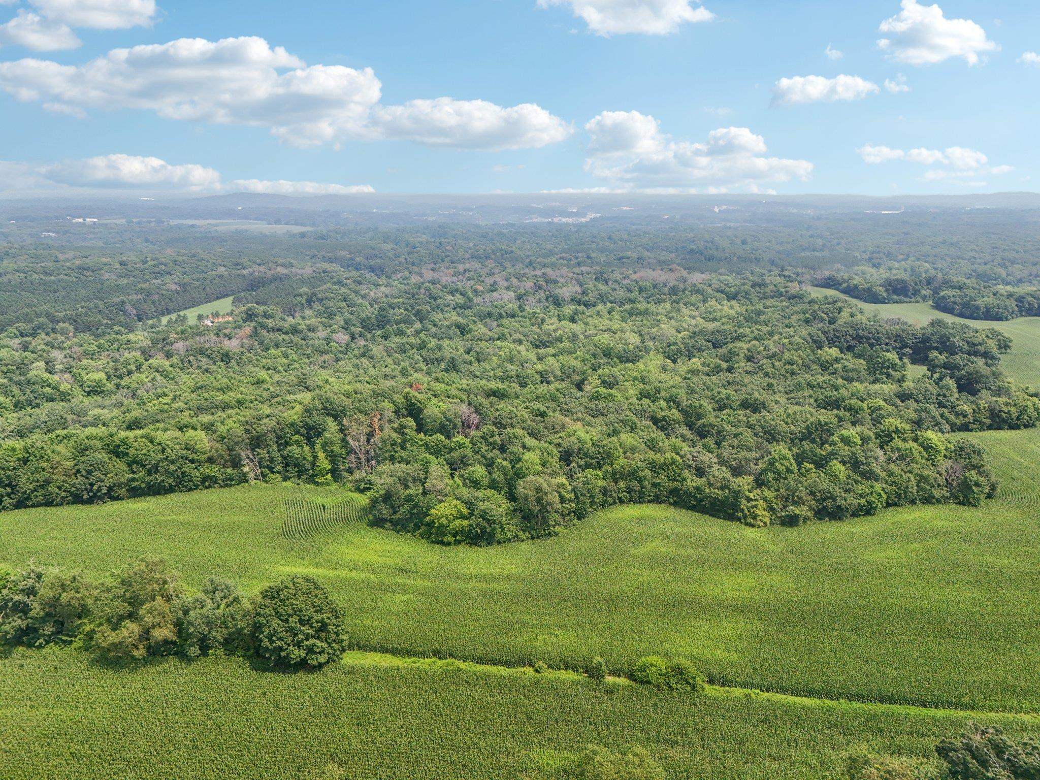 25.85 Ac Birchwood Road