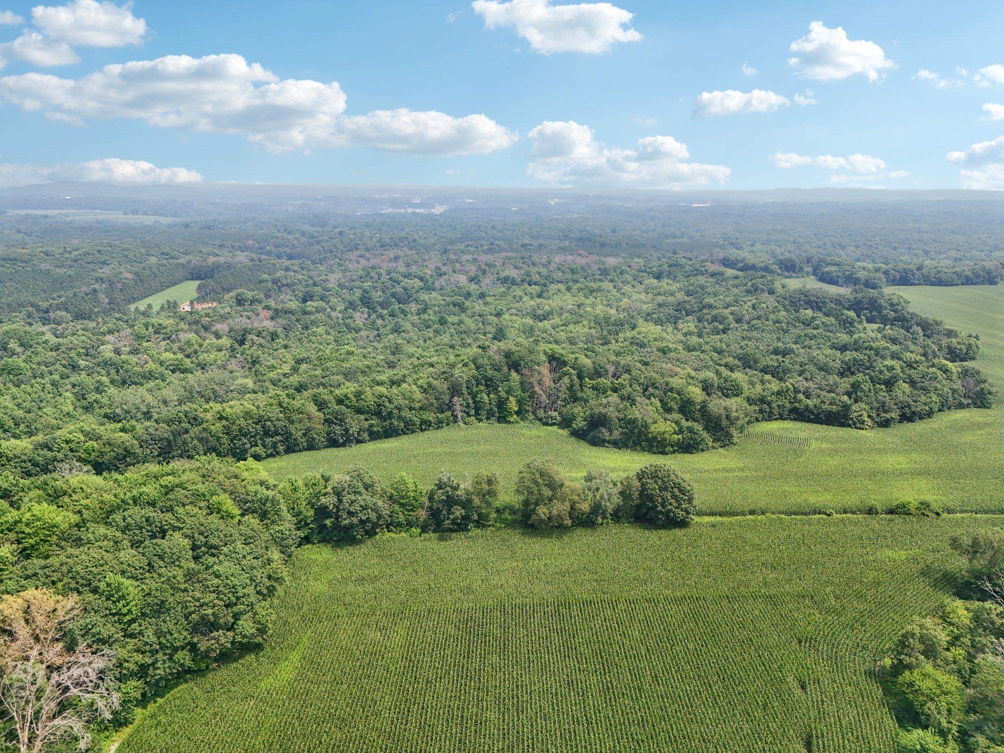 25.85 Ac Birchwood Road