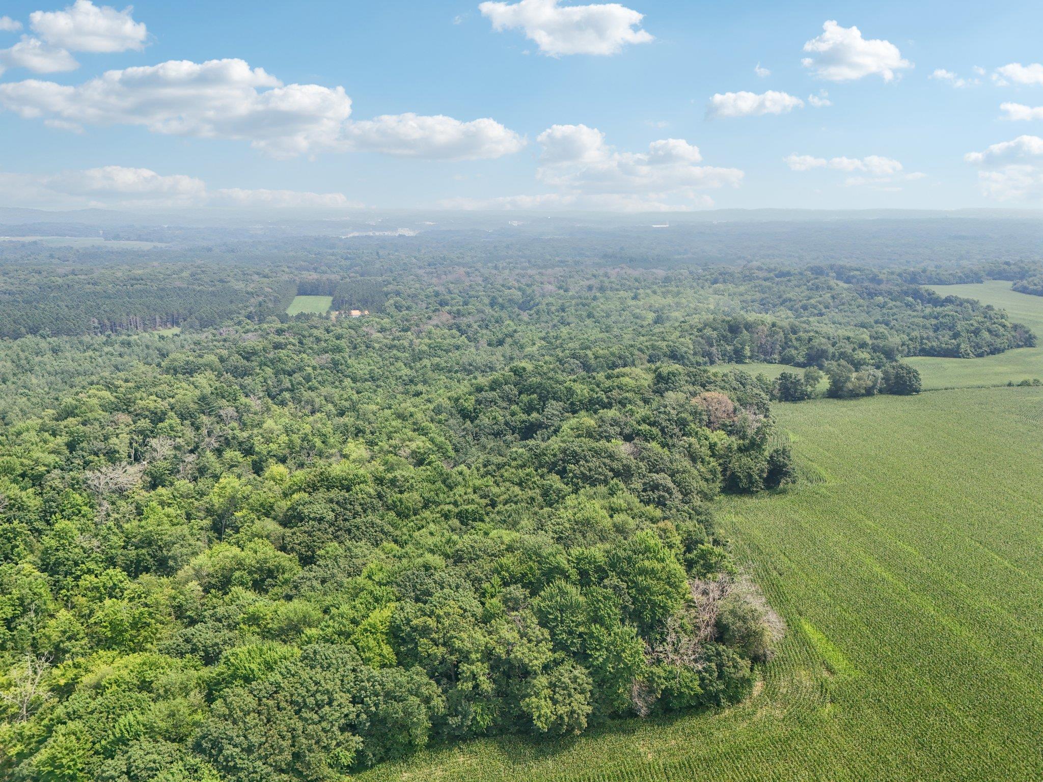 25.85 Ac Birchwood Road