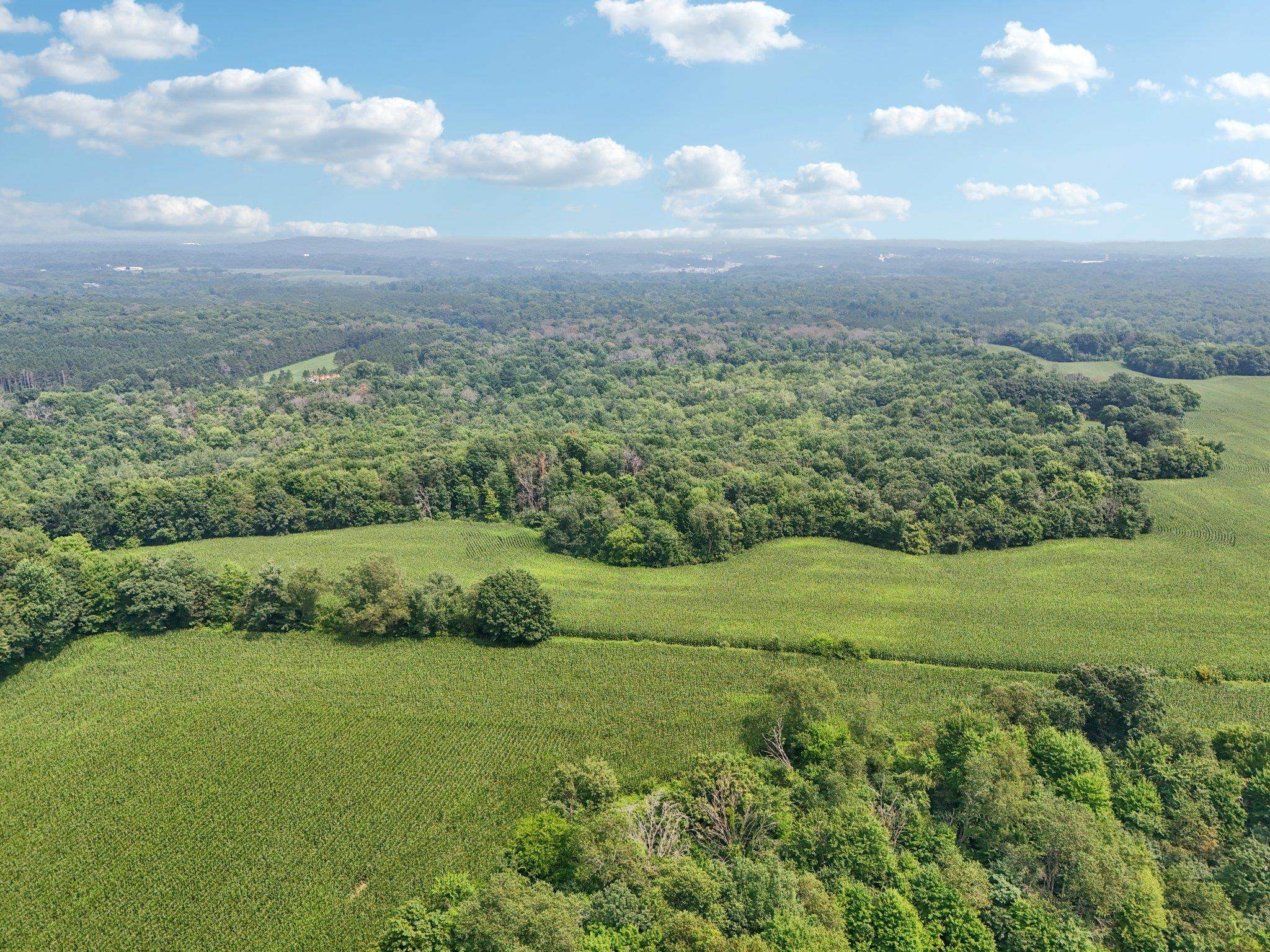 25.85 Ac Birchwood Road