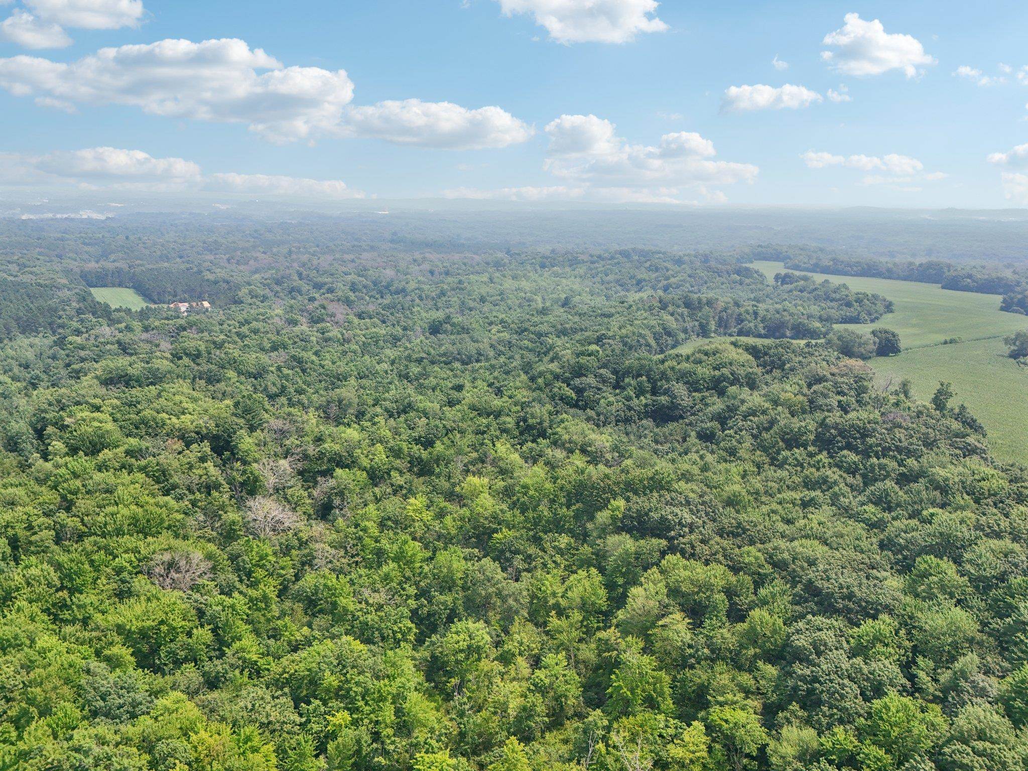 25.85 Ac Birchwood Road