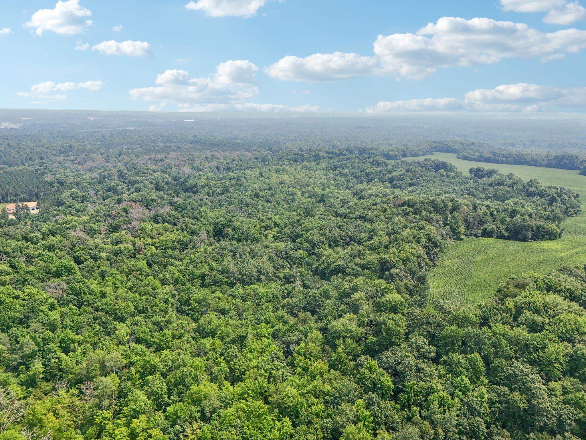 25.85 Ac Birchwood Road