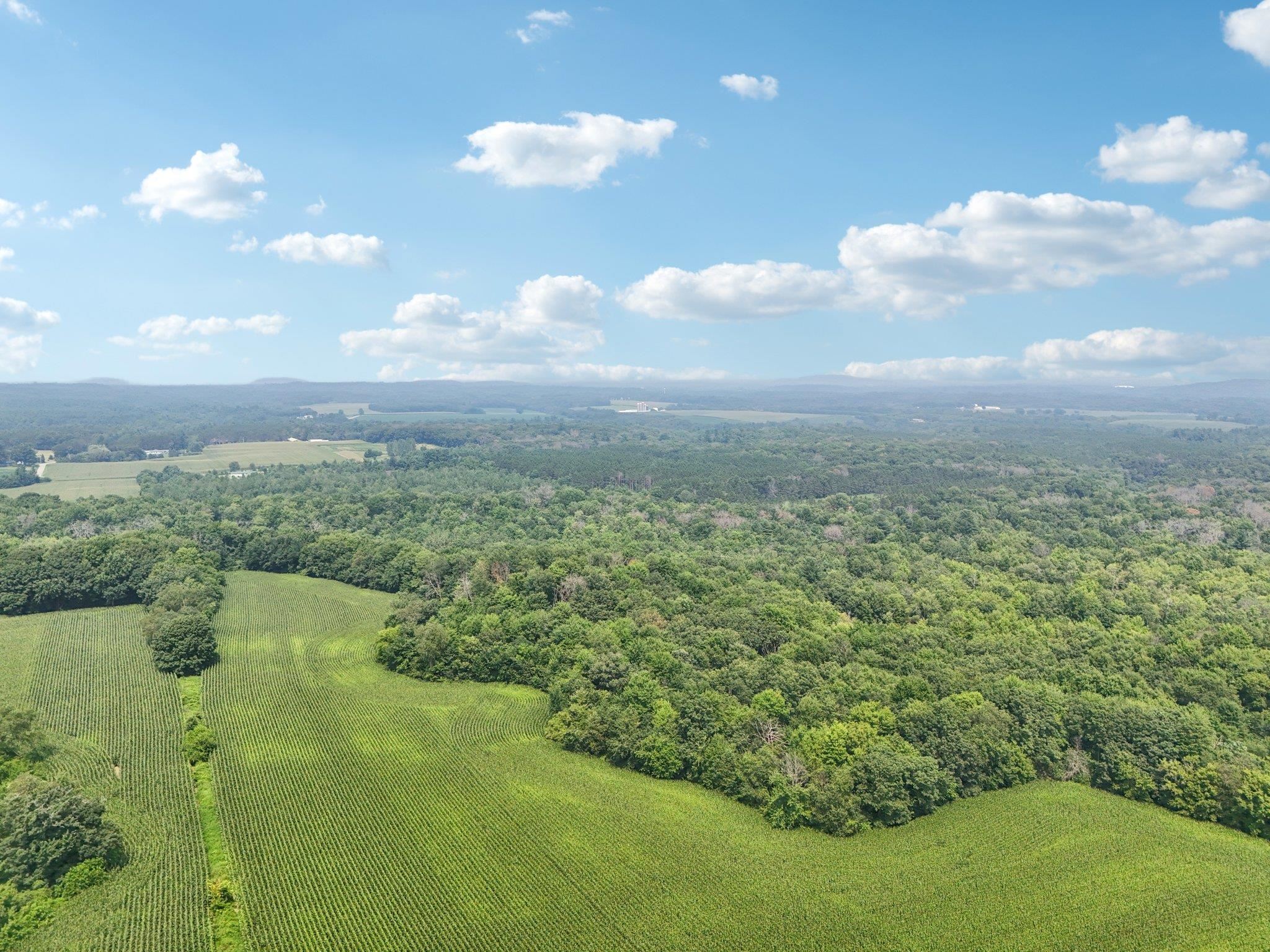 25.85 Ac Birchwood Road