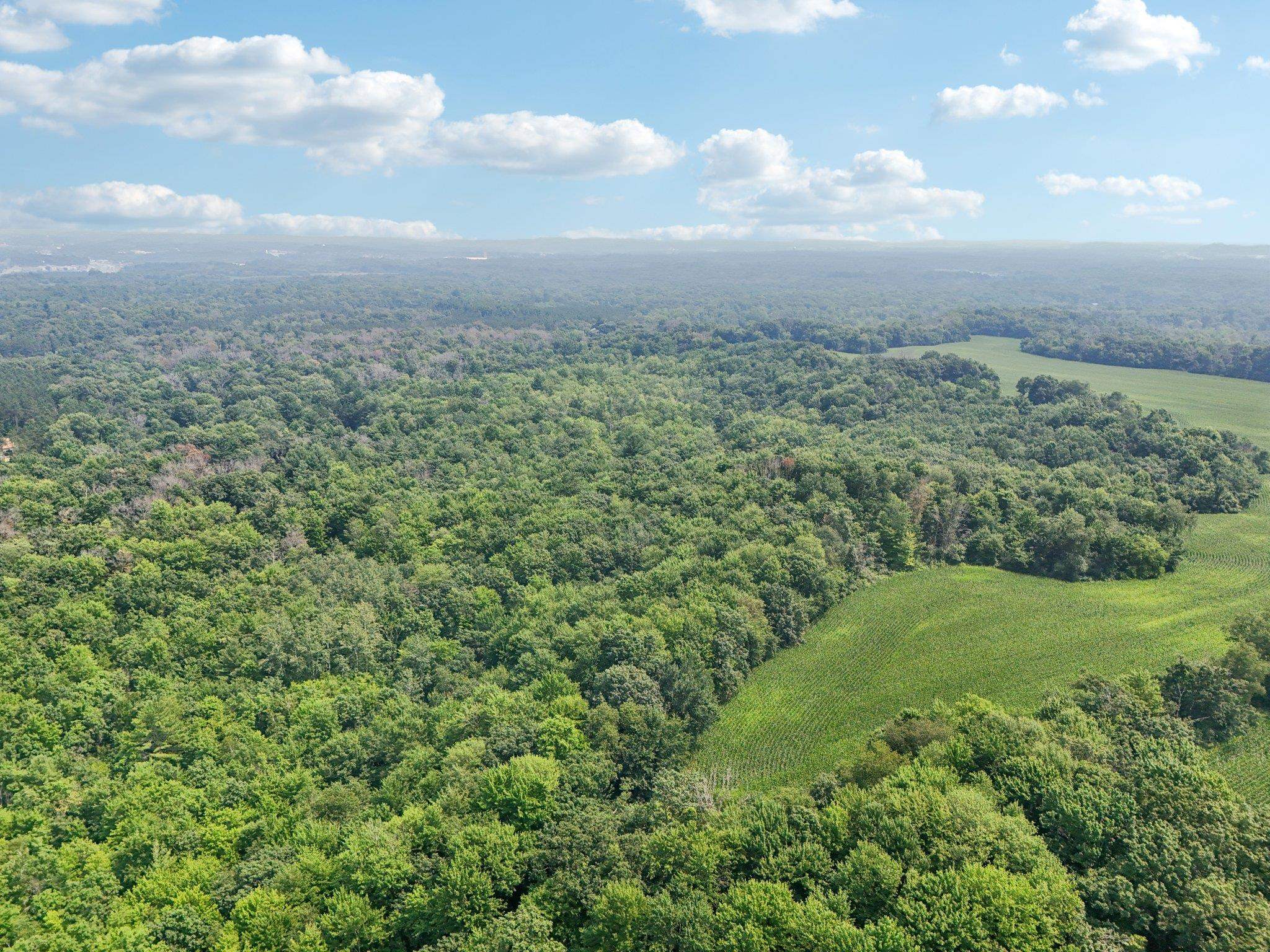 25.85 Ac Birchwood Road