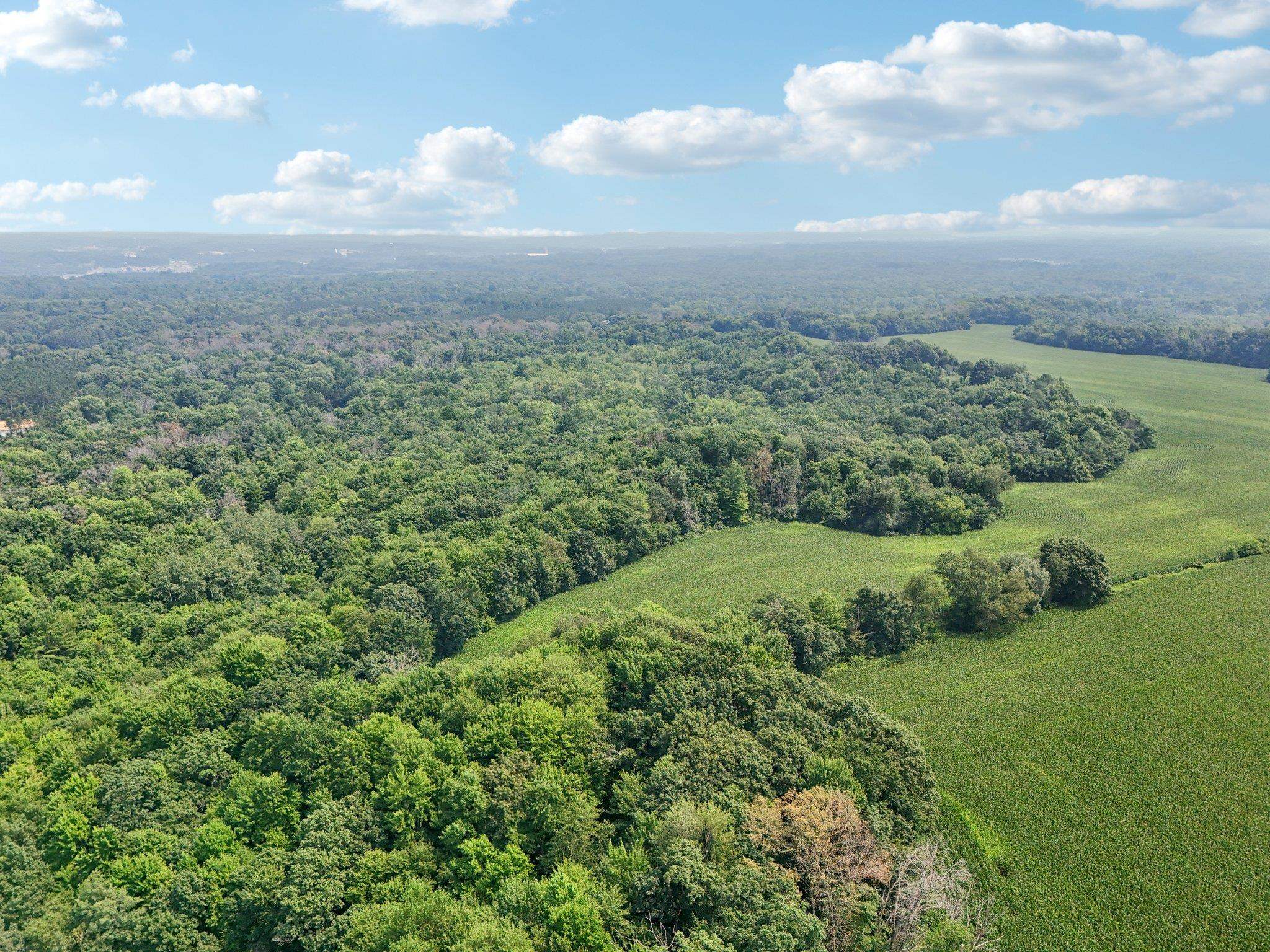 25.85 Ac Birchwood Road