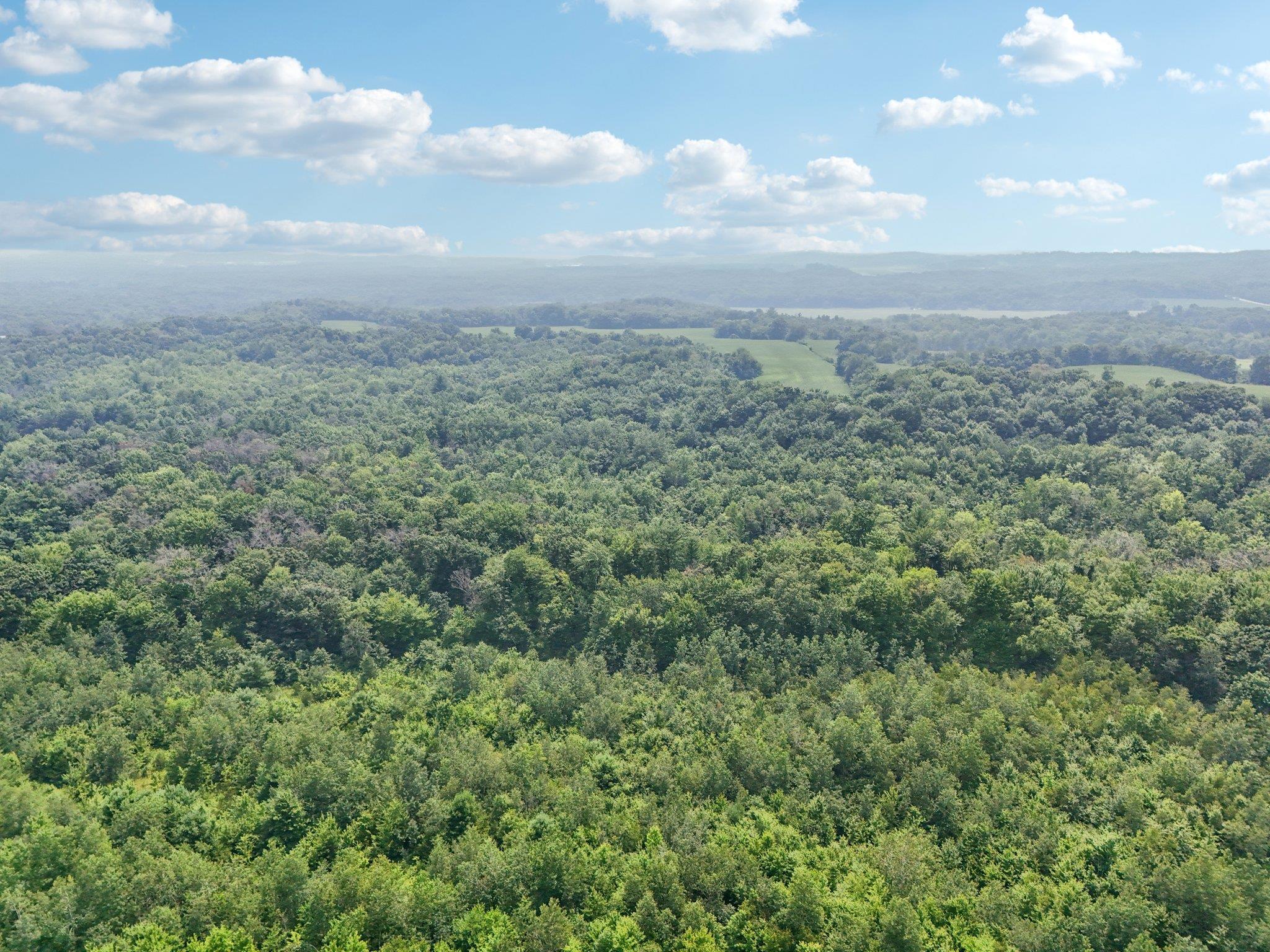 25.85 Ac Birchwood Road