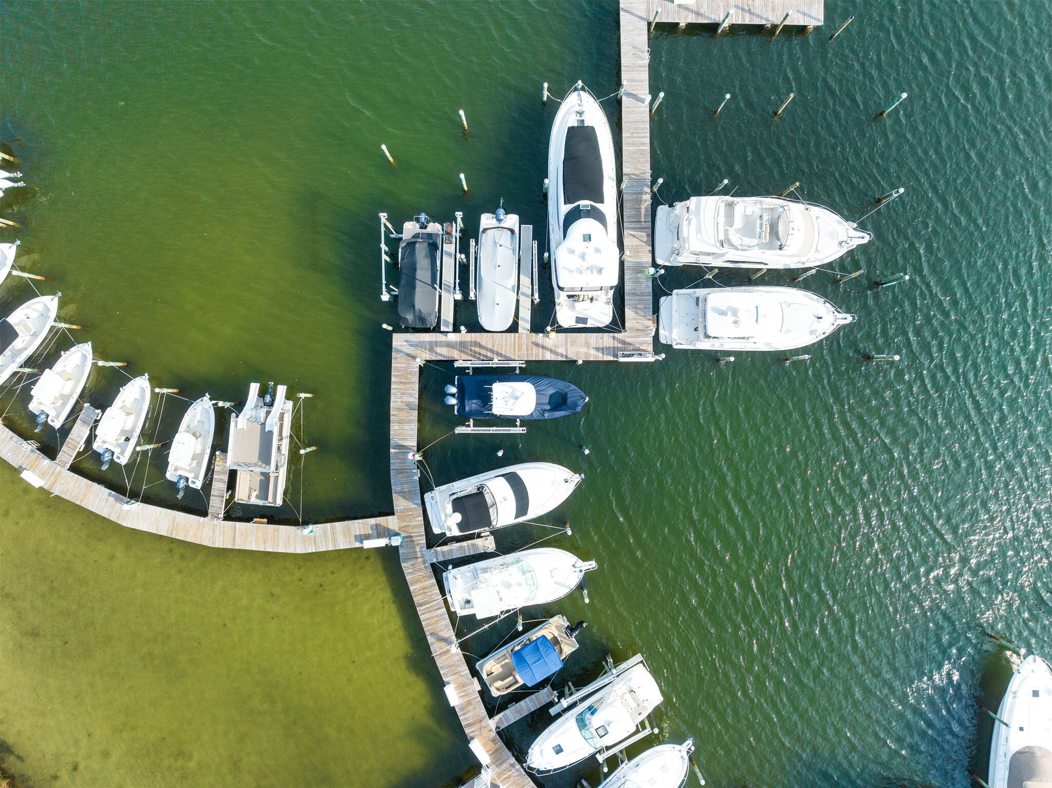 770 Harbor Boulevard