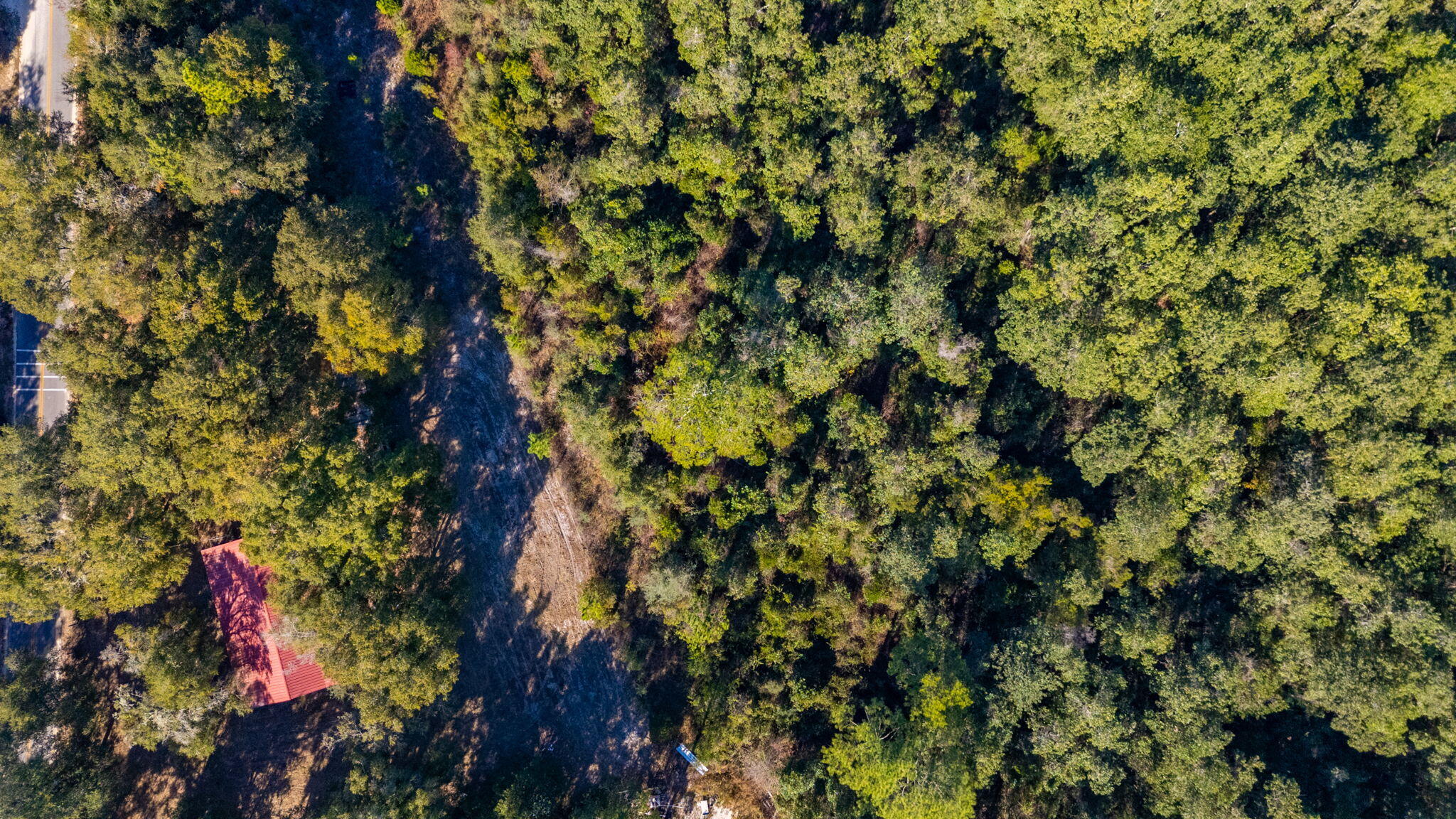 39.5 Acres Spradlin Road, DeFuniak Springs
