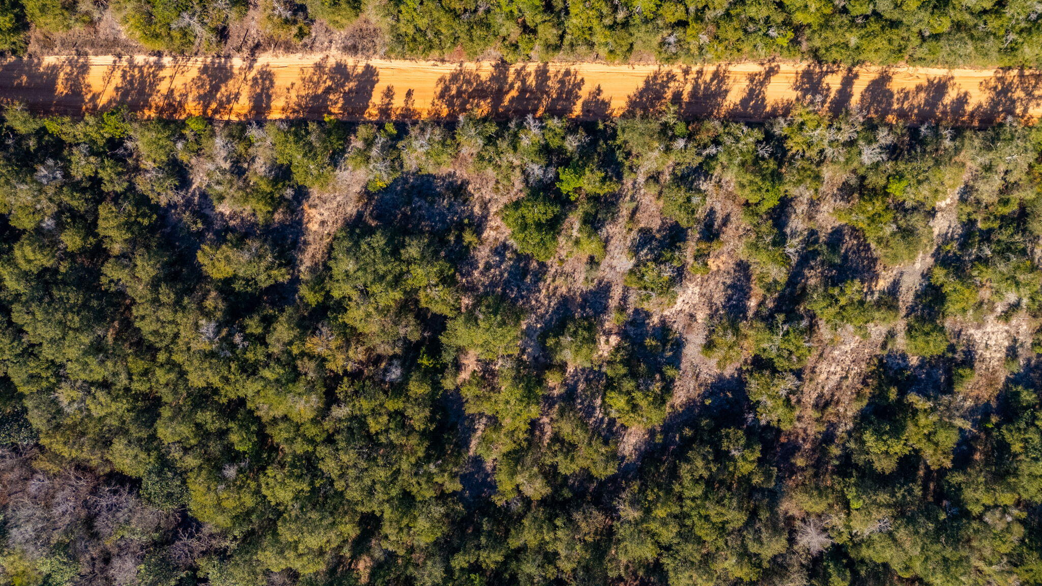 39.5 Acres Spradlin Road, DeFuniak Springs