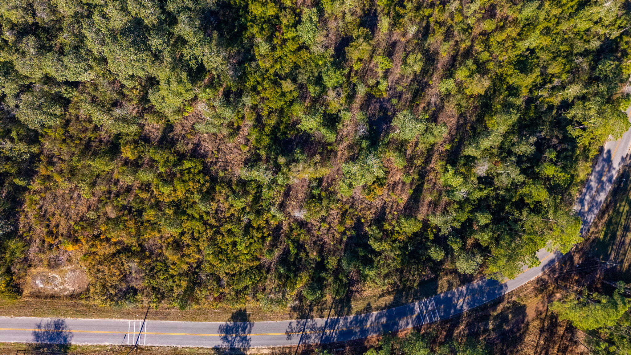 39.5 Acres Spradlin Road, DeFuniak Springs