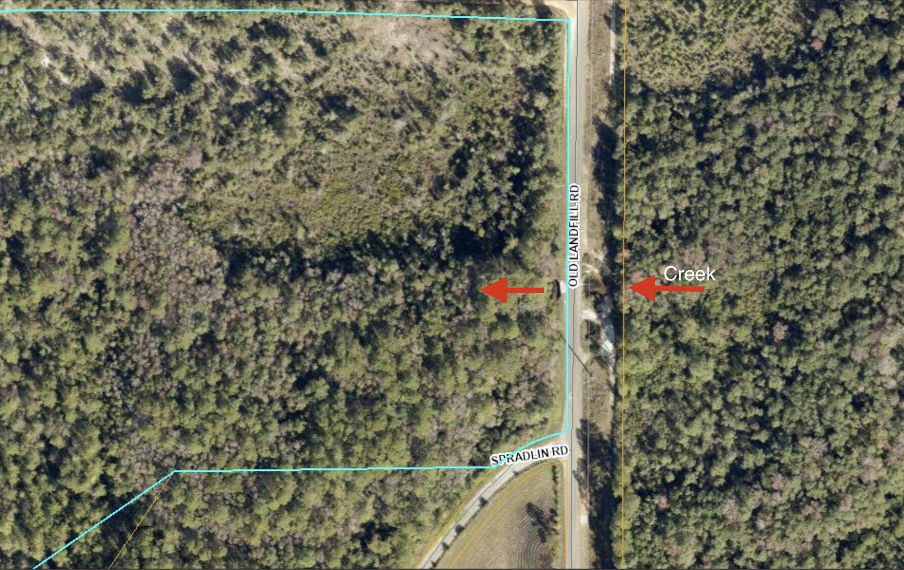 39.5 Acres Spradlin Road, DeFuniak Springs