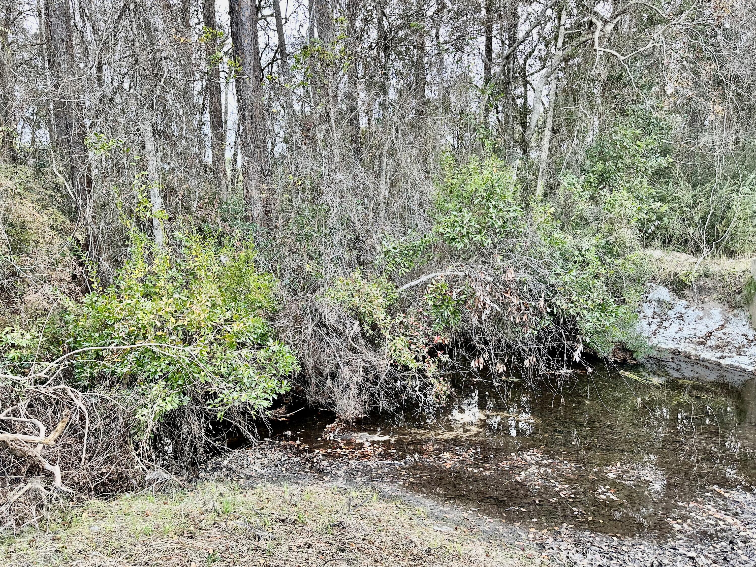 39.5 Acres Spradlin Road, DeFuniak Springs