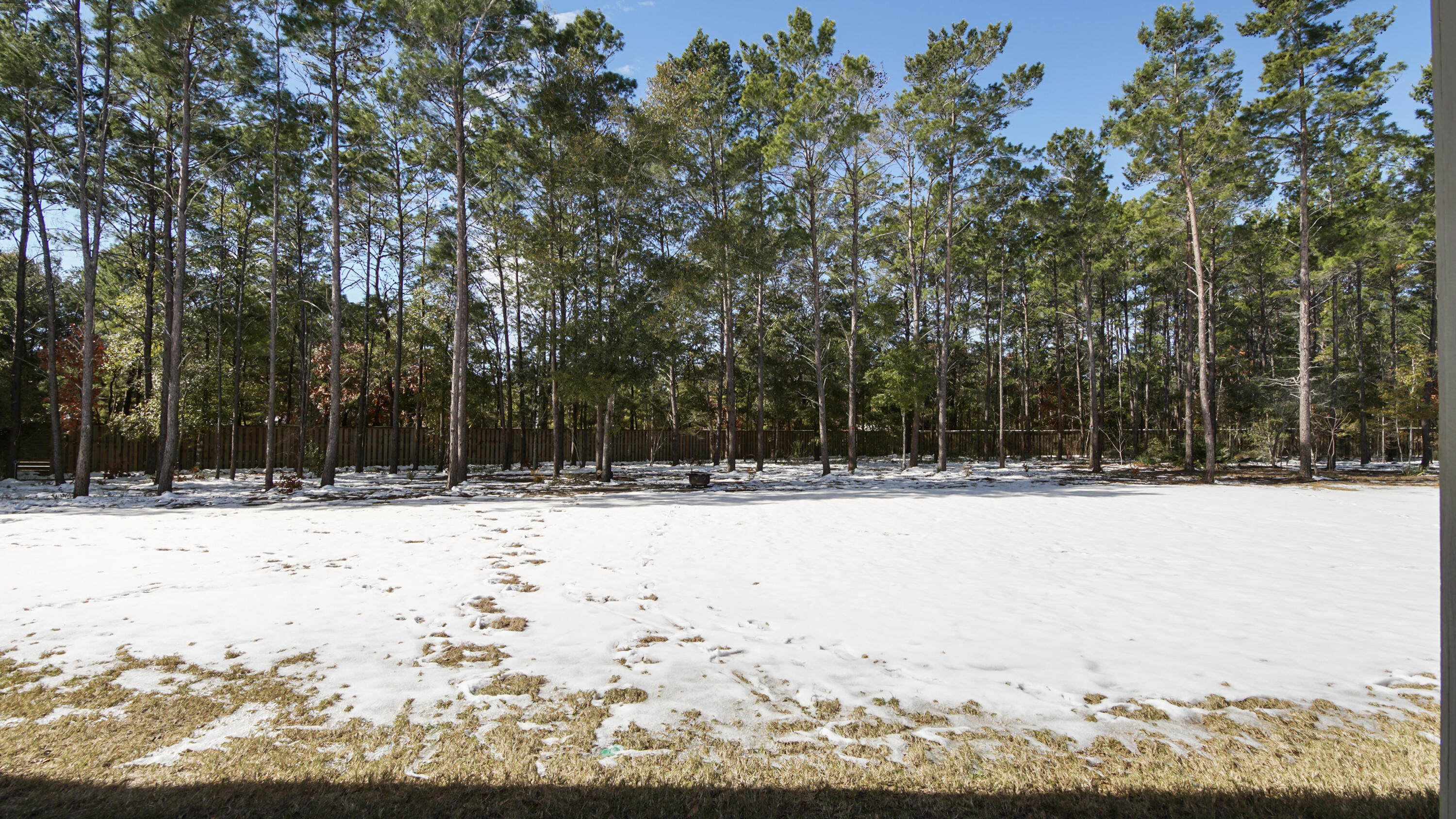 271 Mill Pond Cove