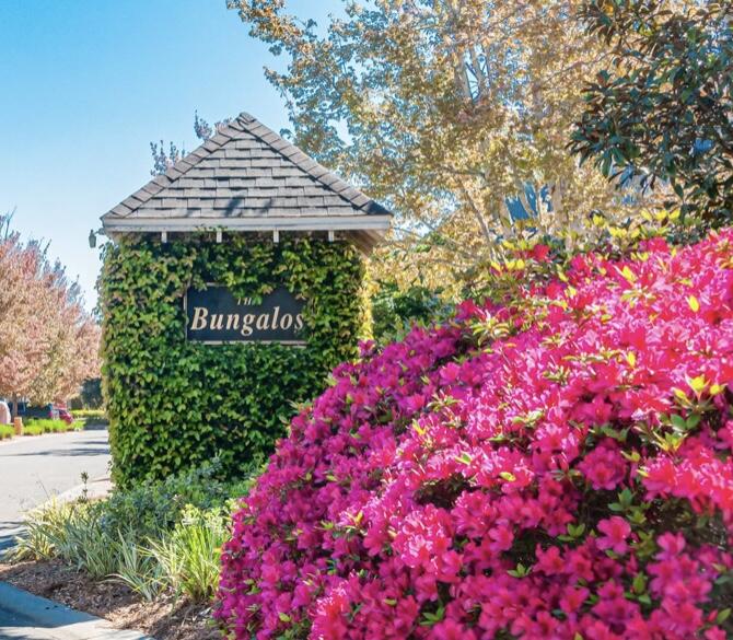 2460 Bungalo Lane