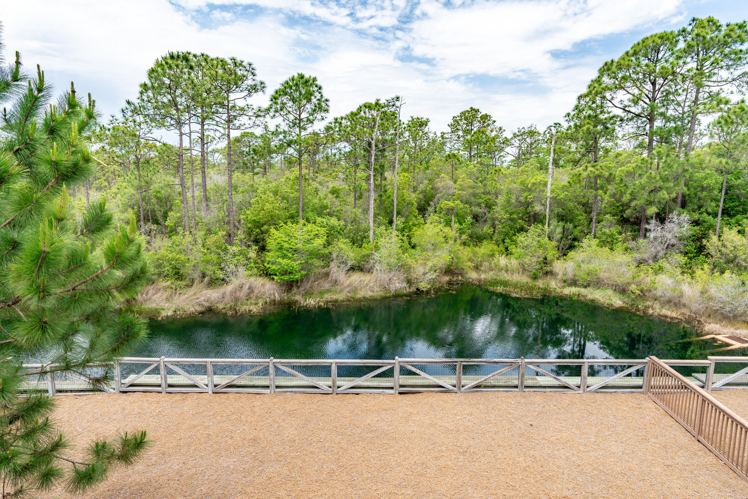 345 Flatwoods Forest Loop