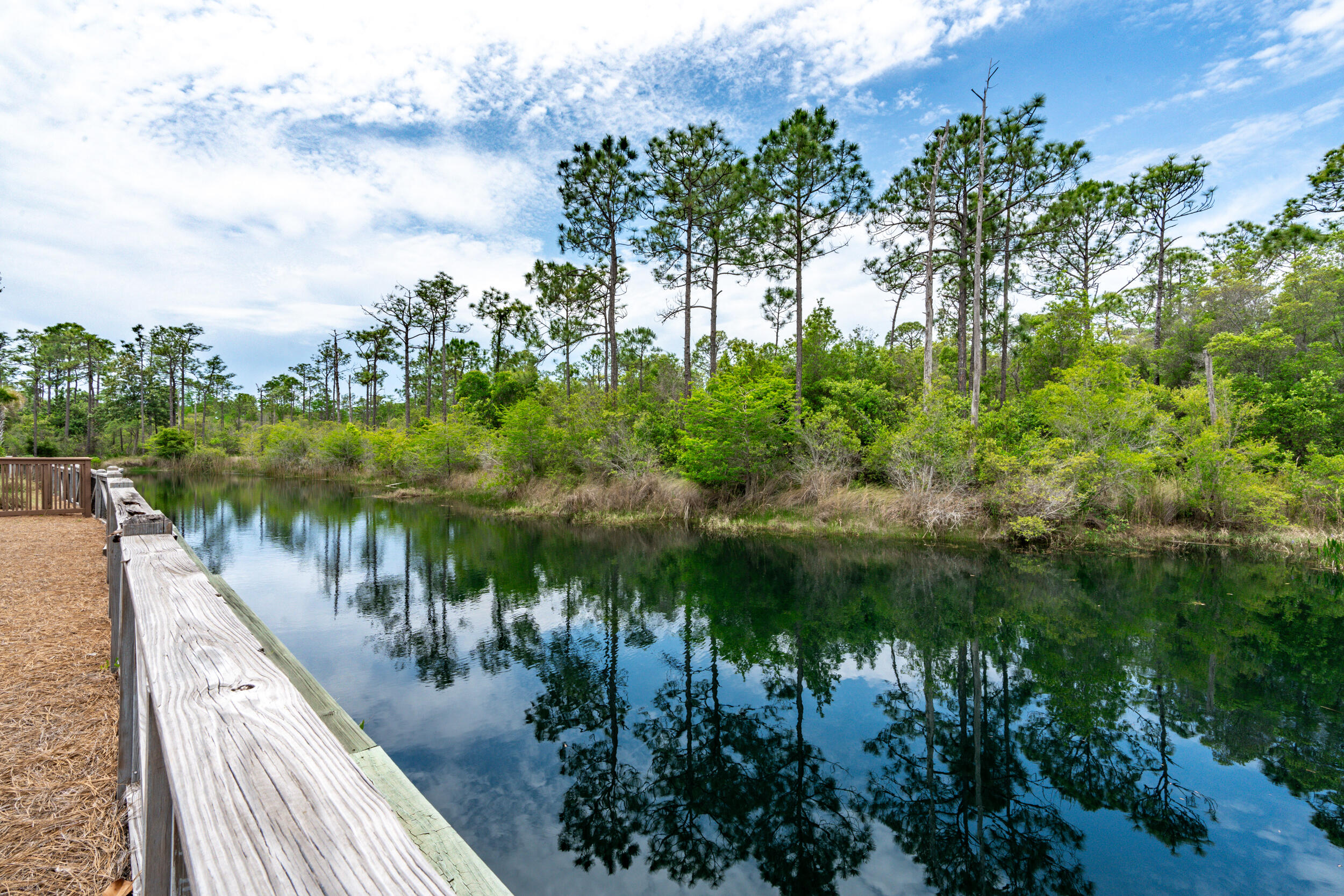 345 Flatwoods Forest Loop