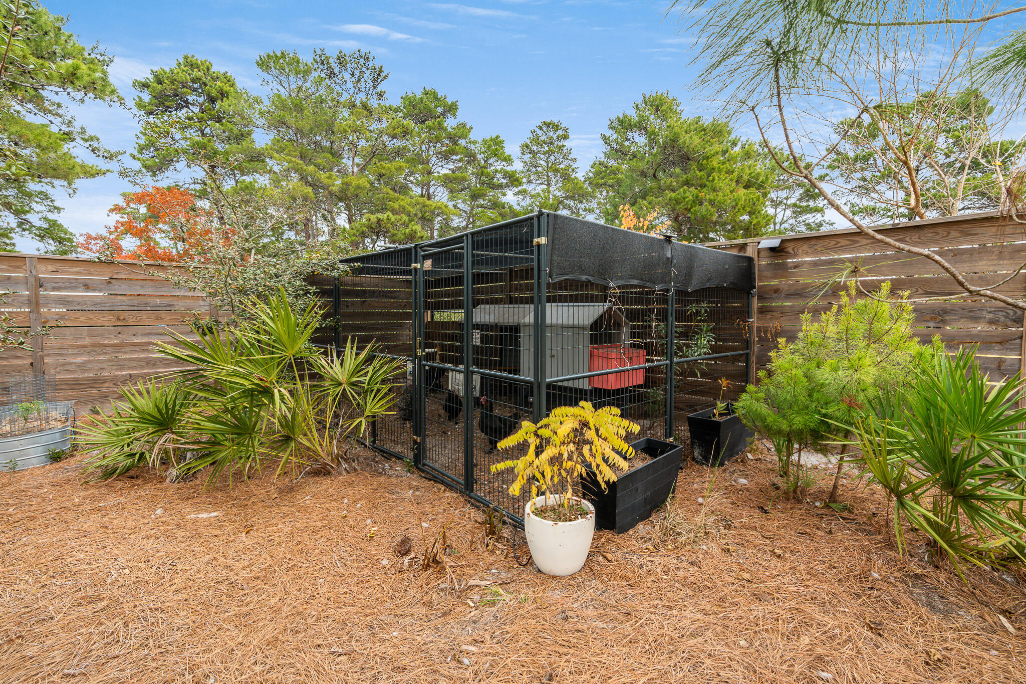 80 W Blue Coral Drive