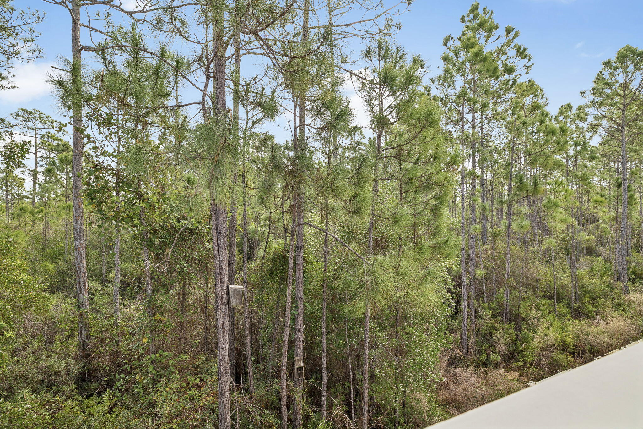 260 Sugar Sands Drive