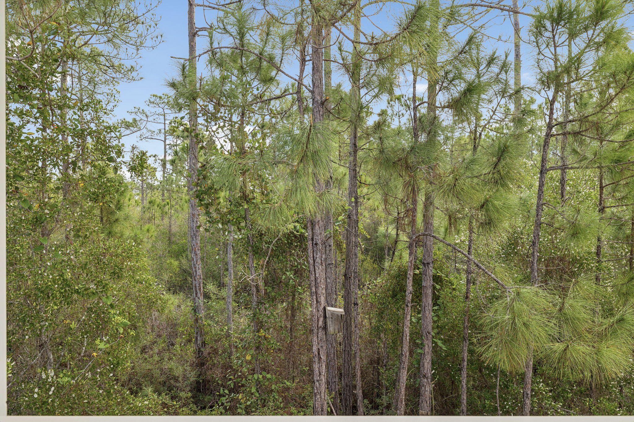 260 Sugar Sands Drive