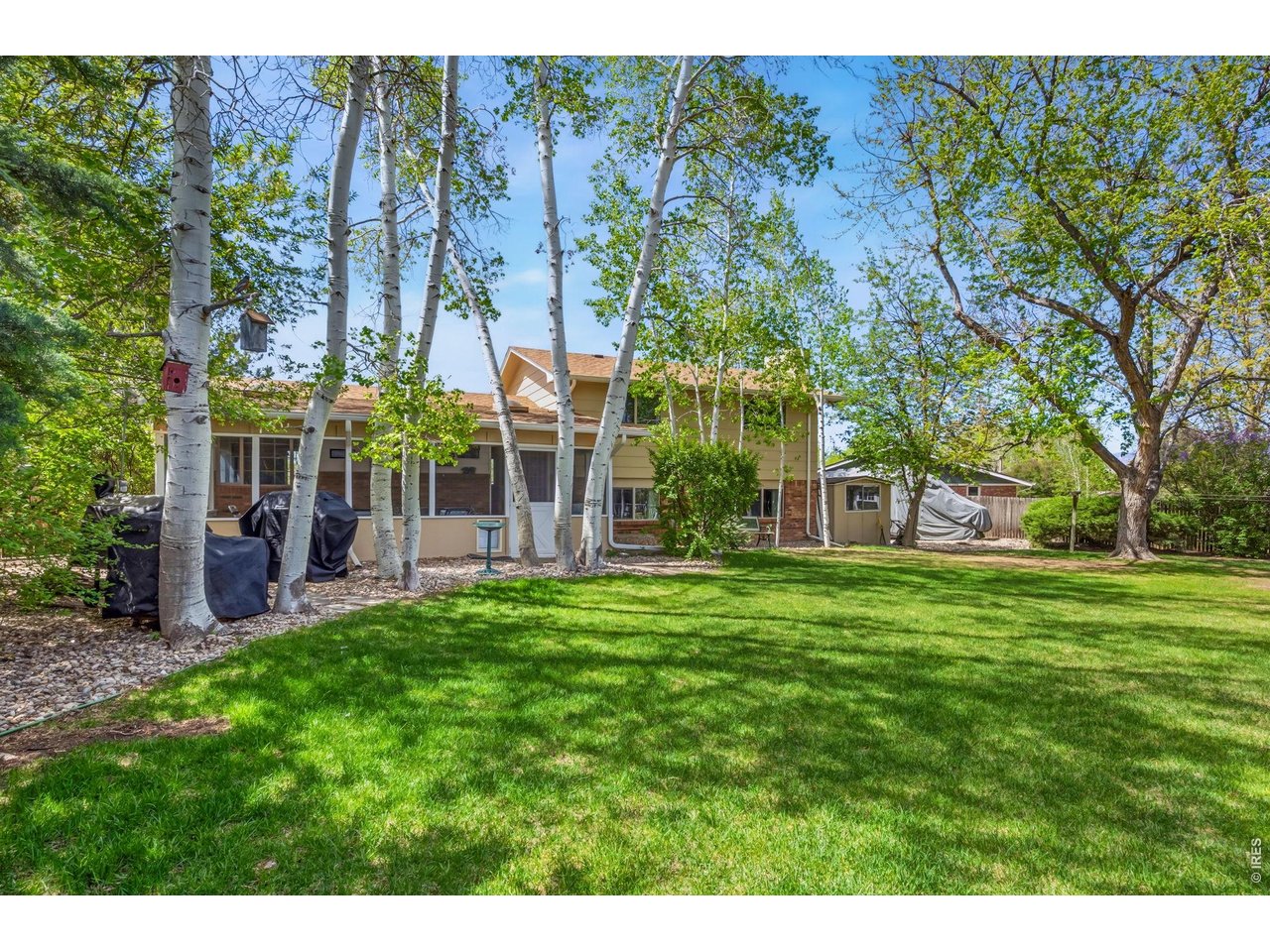 605 Jack Pine Pl