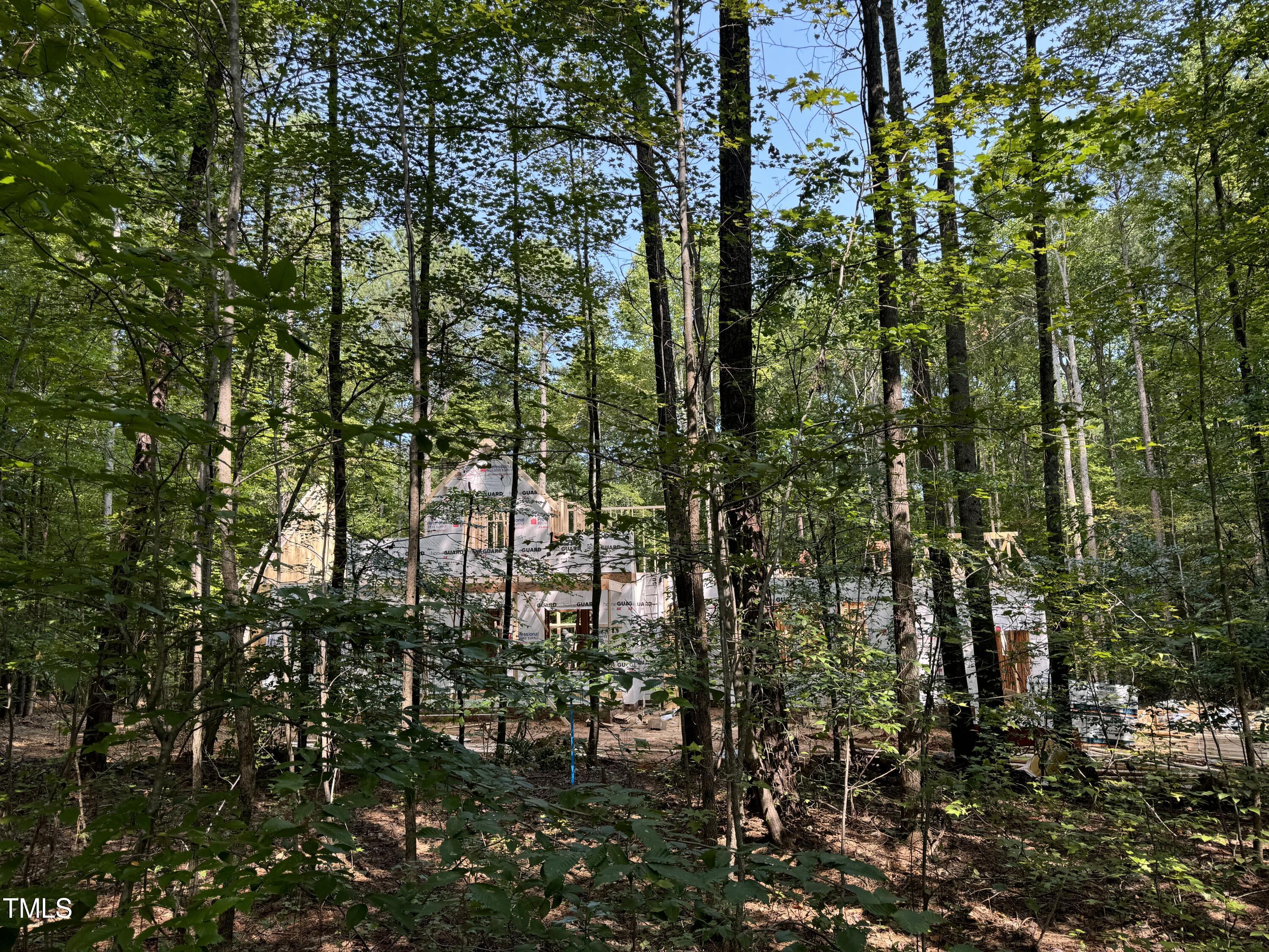 1325 Old Lystra Road