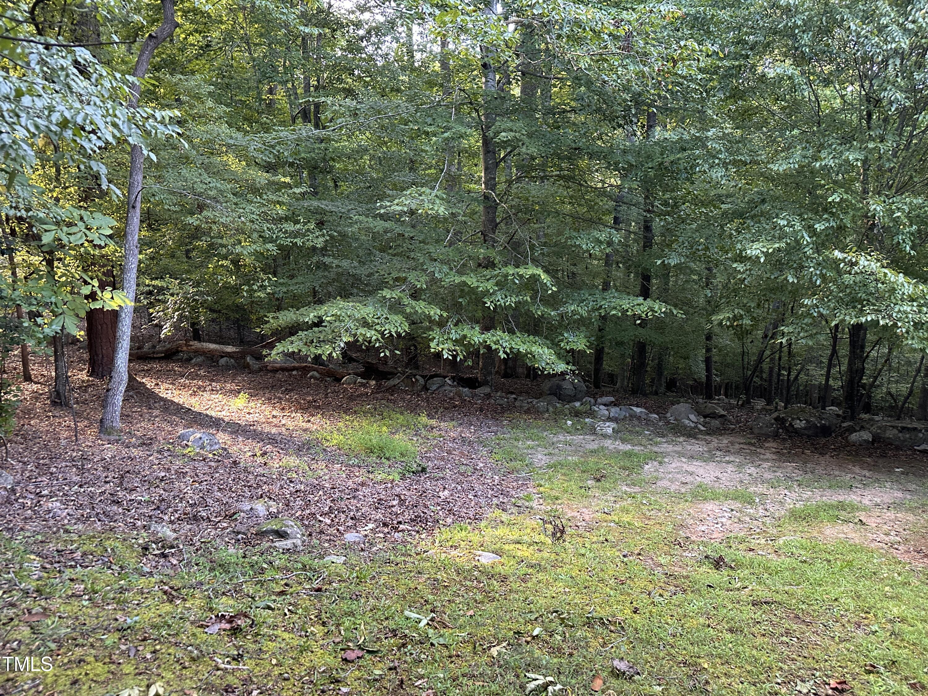 470 Beechmast