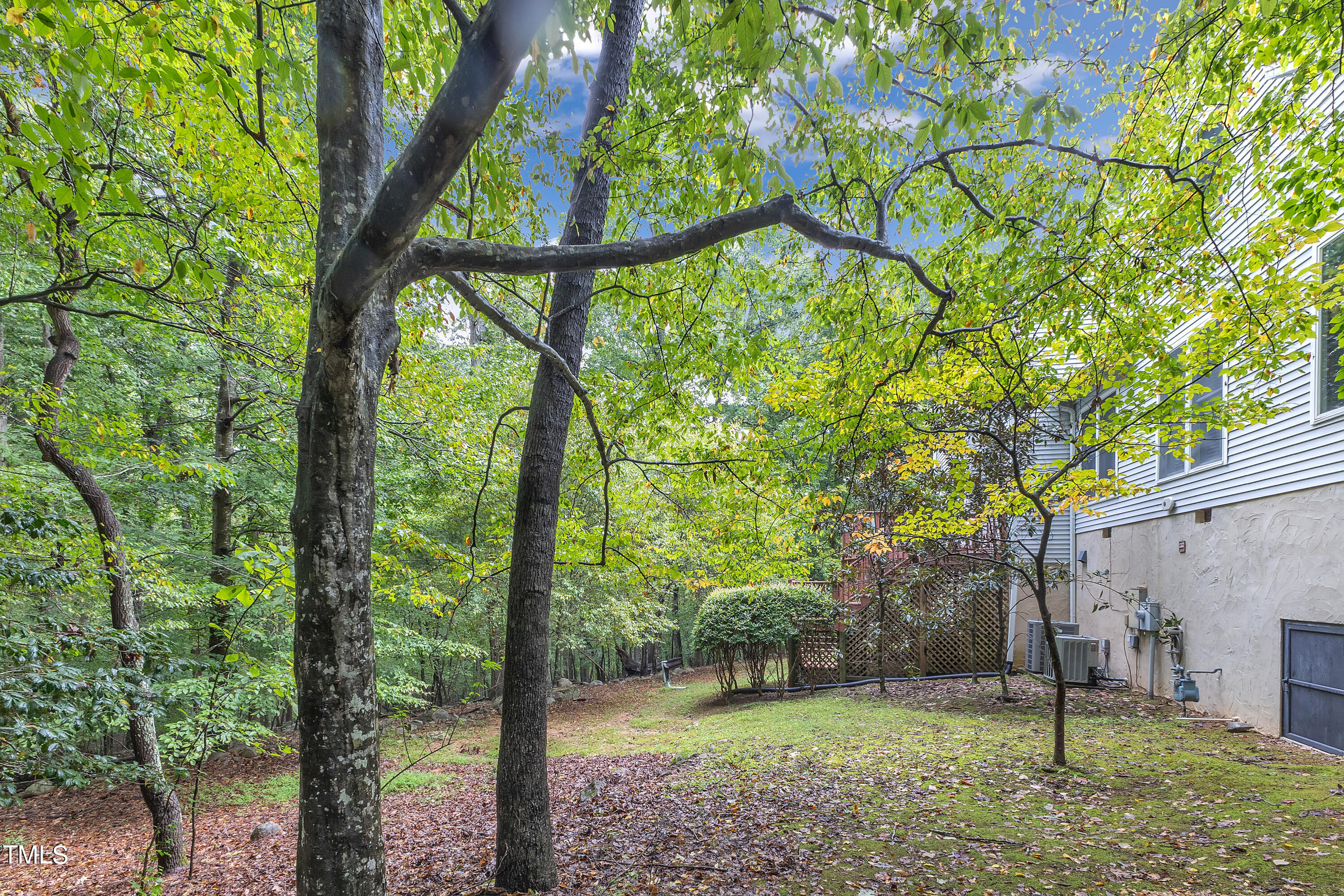 470 Beechmast