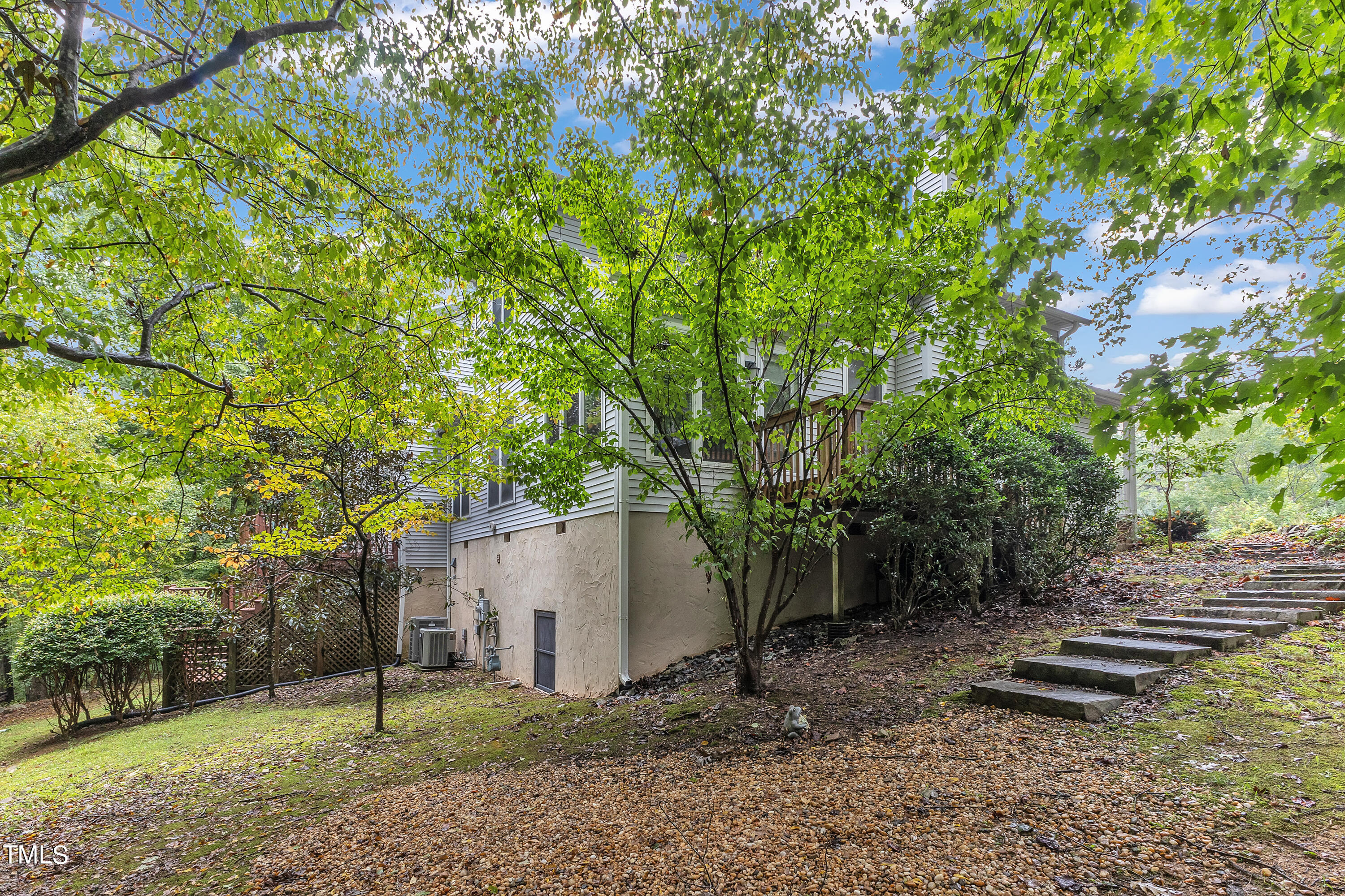 470 Beechmast