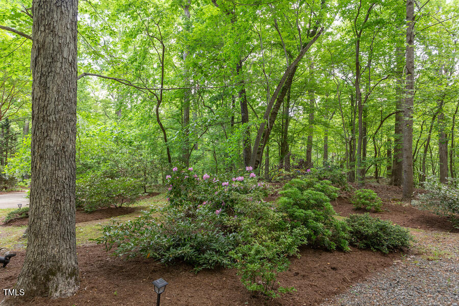3604 Pasture Road