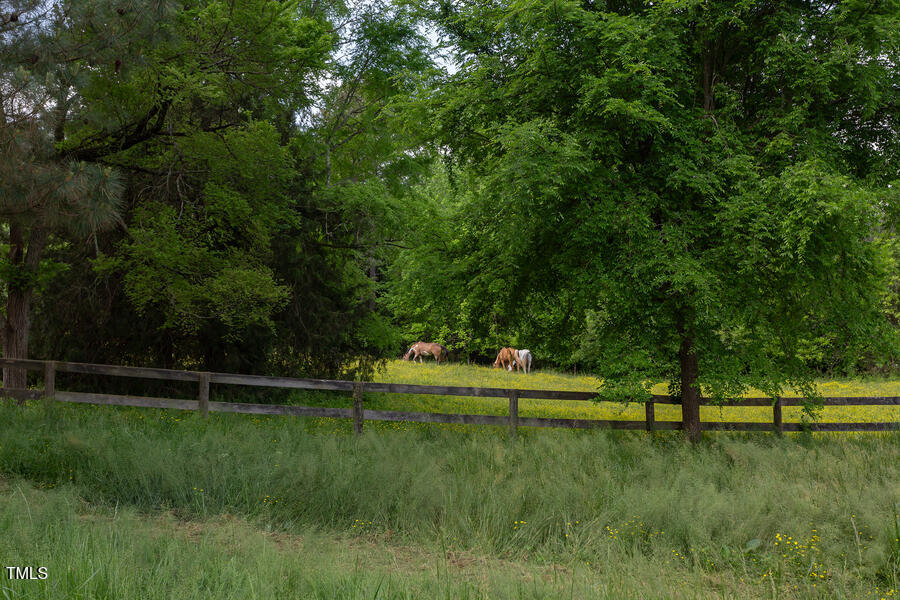 3604 Pasture Road