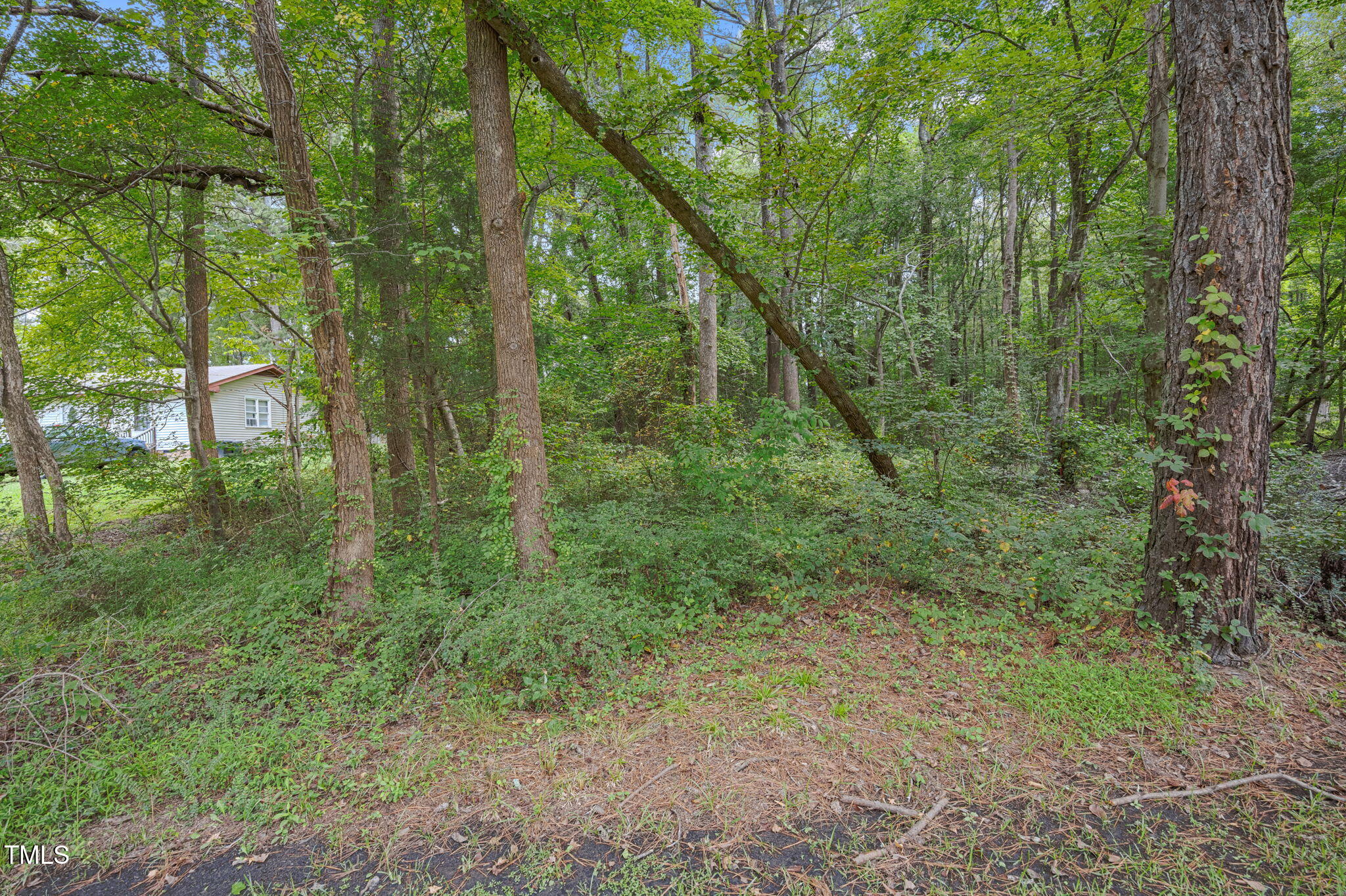 7117 Brodie Alston Lane