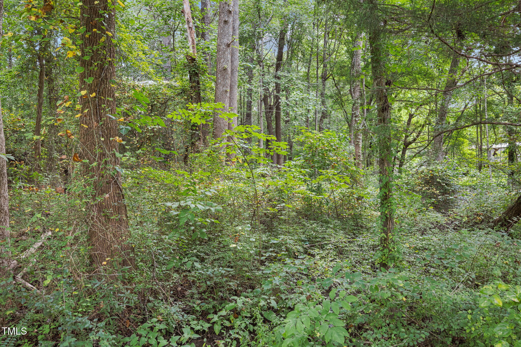 7117 Brodie Alston Lane